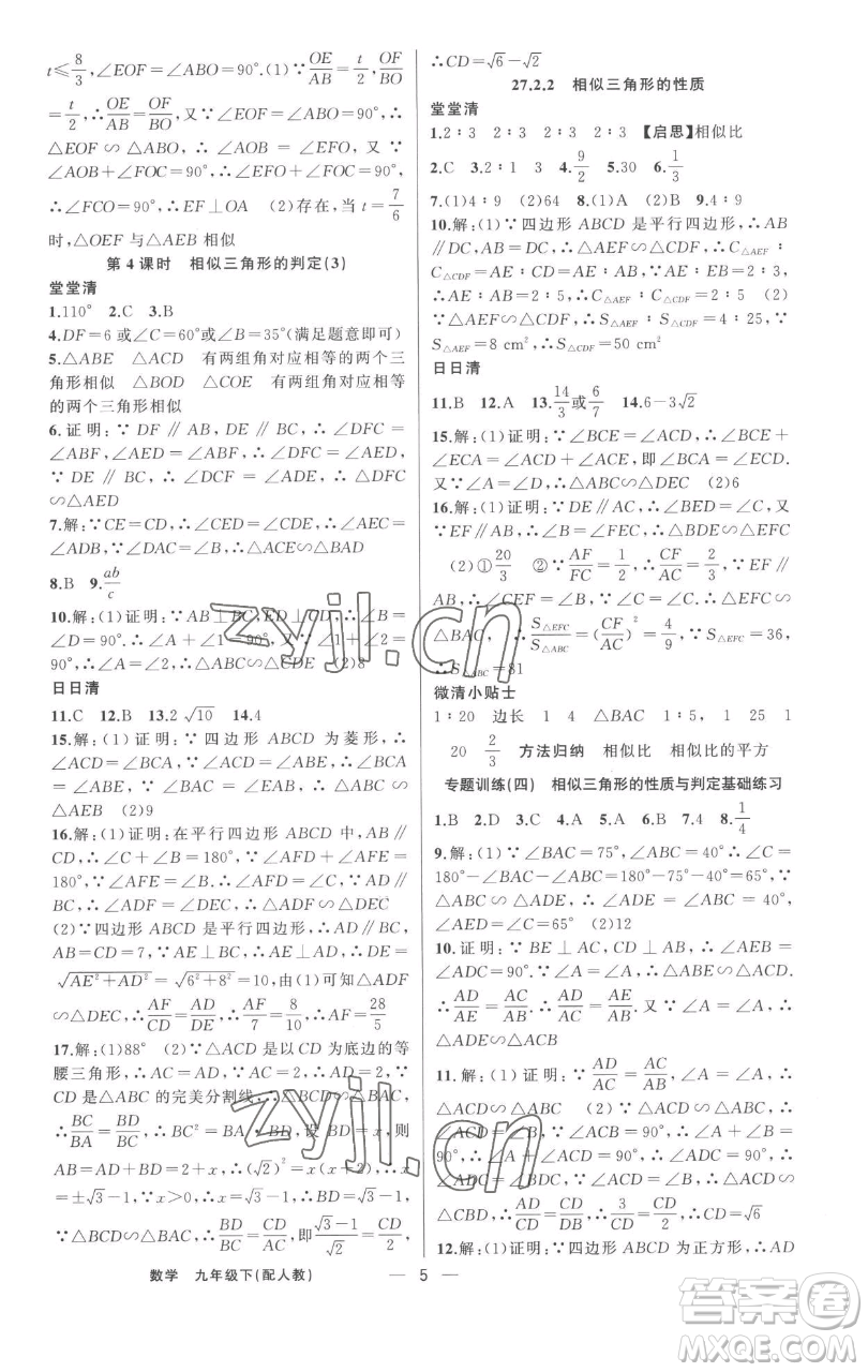 新疆青少年出版社2023四清導(dǎo)航九年級(jí)下冊(cè)數(shù)學(xué)人教版參考答案