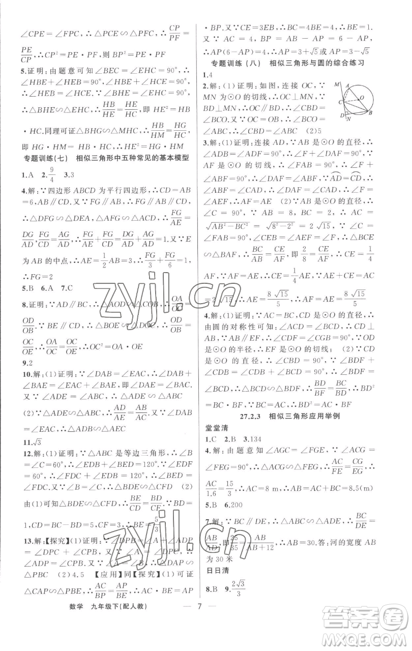 新疆青少年出版社2023四清導(dǎo)航九年級(jí)下冊(cè)數(shù)學(xué)人教版參考答案