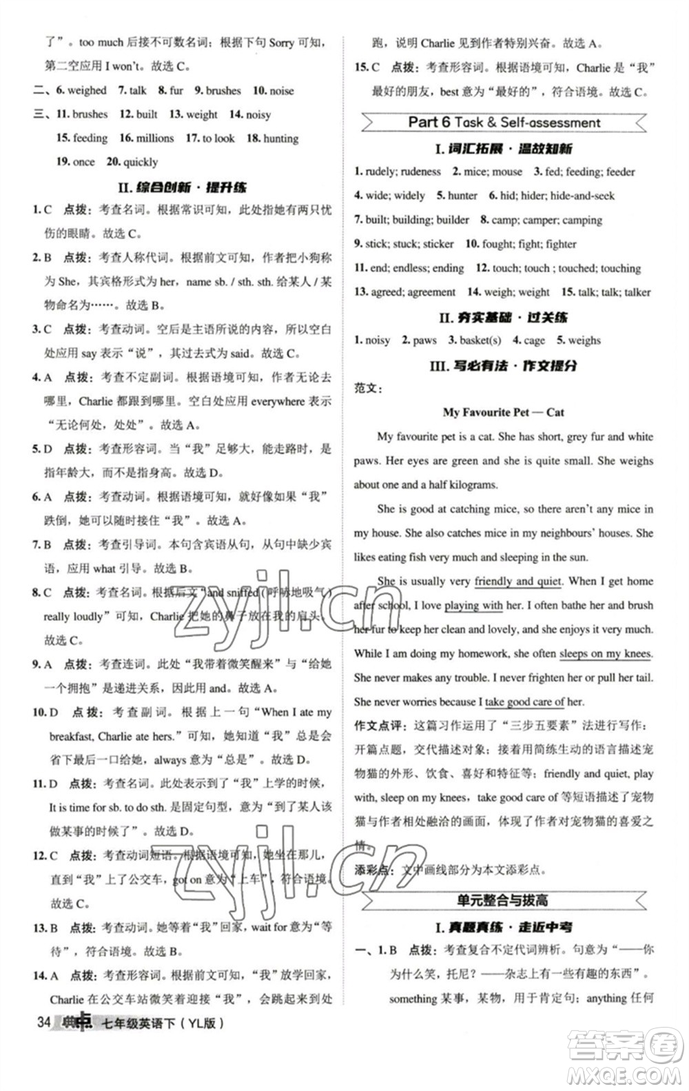 陜西人民教育出版社2023綜合應(yīng)用創(chuàng)新題典中點七年級英語下冊譯林版參考答案