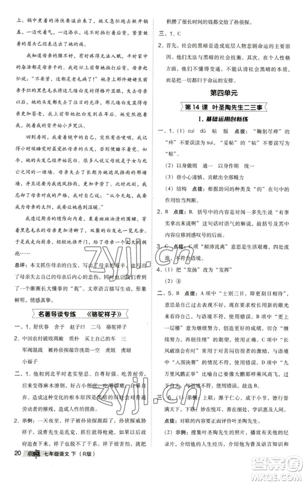 陜西人民教育出版社2023綜合應(yīng)用創(chuàng)新題典中點七年級語文下冊人教版參考答案