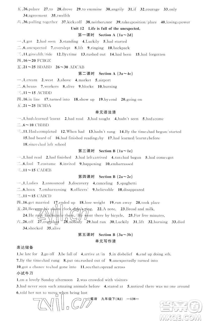新疆青少年出版社2023四清導(dǎo)航九年級下冊英語人教版黃石專版參考答案