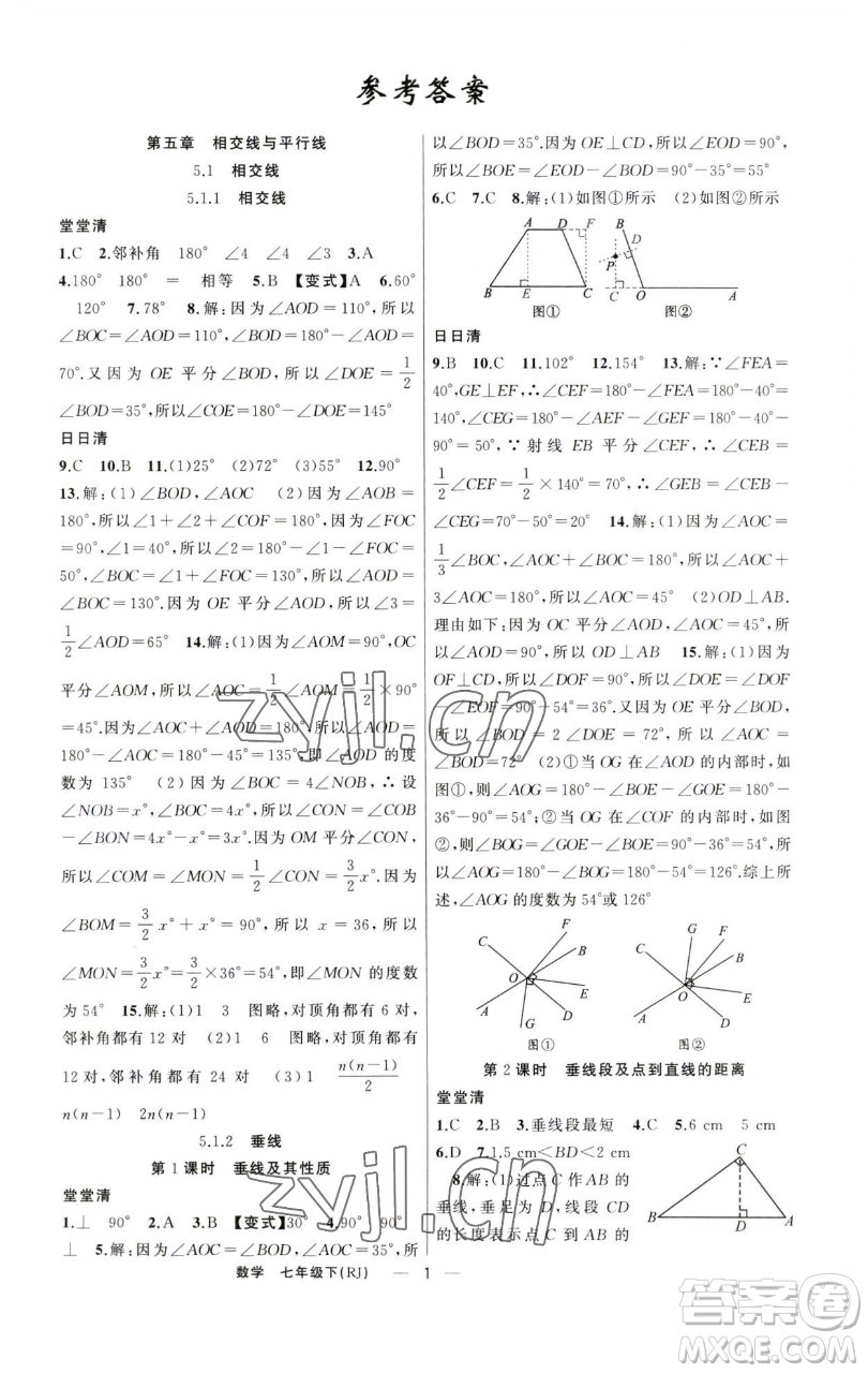 新疆青少年出版社2023四清導(dǎo)航七年級(jí)下冊(cè)數(shù)學(xué)人教版河南專(zhuān)版參考答案
