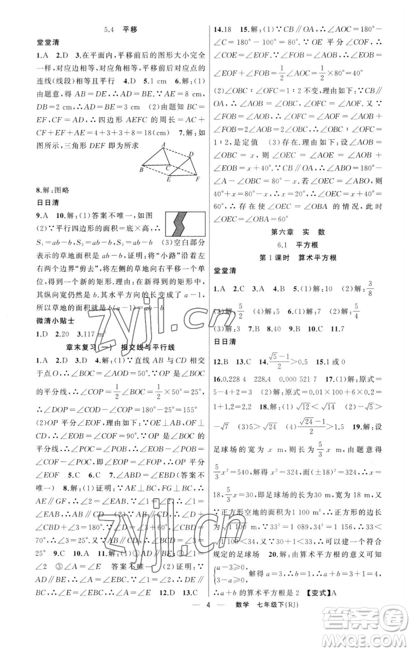 新疆青少年出版社2023四清導(dǎo)航七年級(jí)下冊(cè)數(shù)學(xué)人教版河南專(zhuān)版參考答案