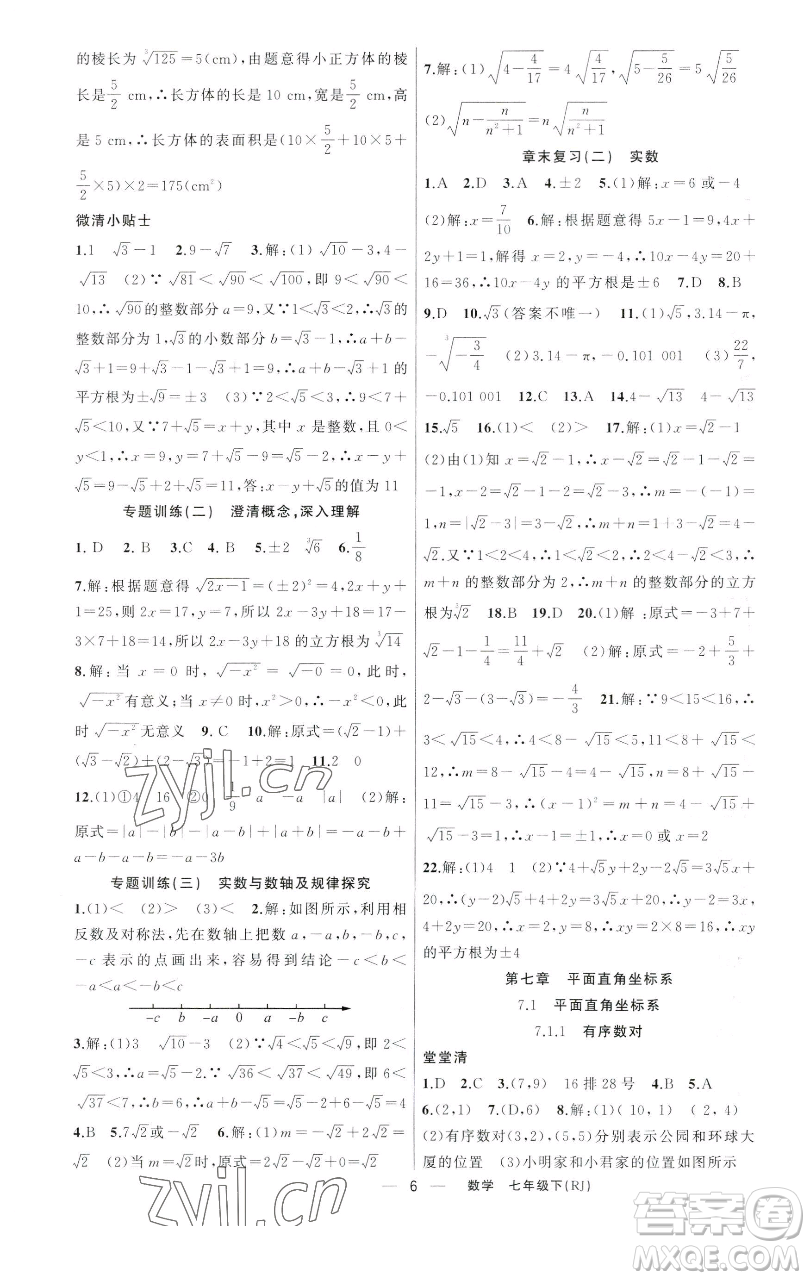 新疆青少年出版社2023四清導(dǎo)航七年級(jí)下冊(cè)數(shù)學(xué)人教版河南專(zhuān)版參考答案