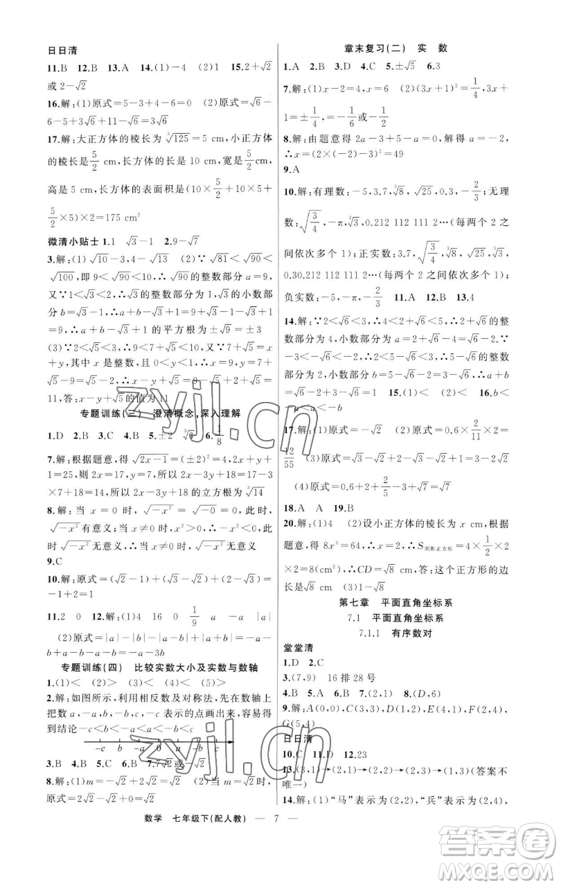 新疆青少年出版社2023四清導(dǎo)航七年級(jí)下冊(cè)數(shù)學(xué)人教版參考答案