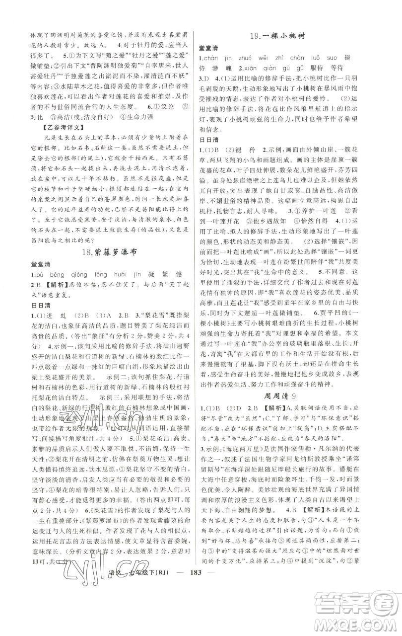 新疆青少年出版社2023四清導(dǎo)航七年級下冊語文人教版河南專版參考答案