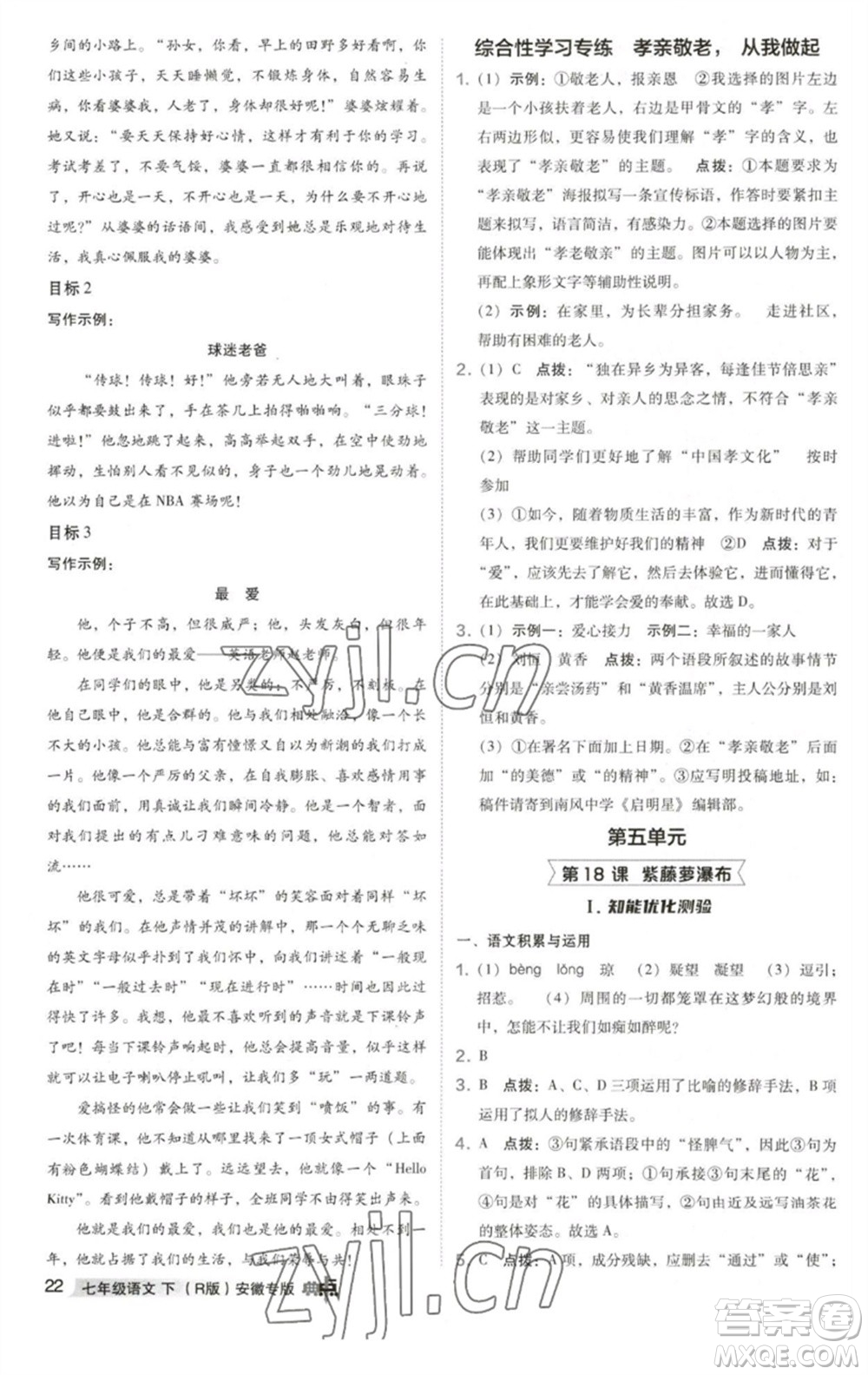 吉林教育出版社2023綜合應(yīng)用創(chuàng)新題典中點(diǎn)七年級(jí)語(yǔ)文下冊(cè)人教版安徽專版參考答案