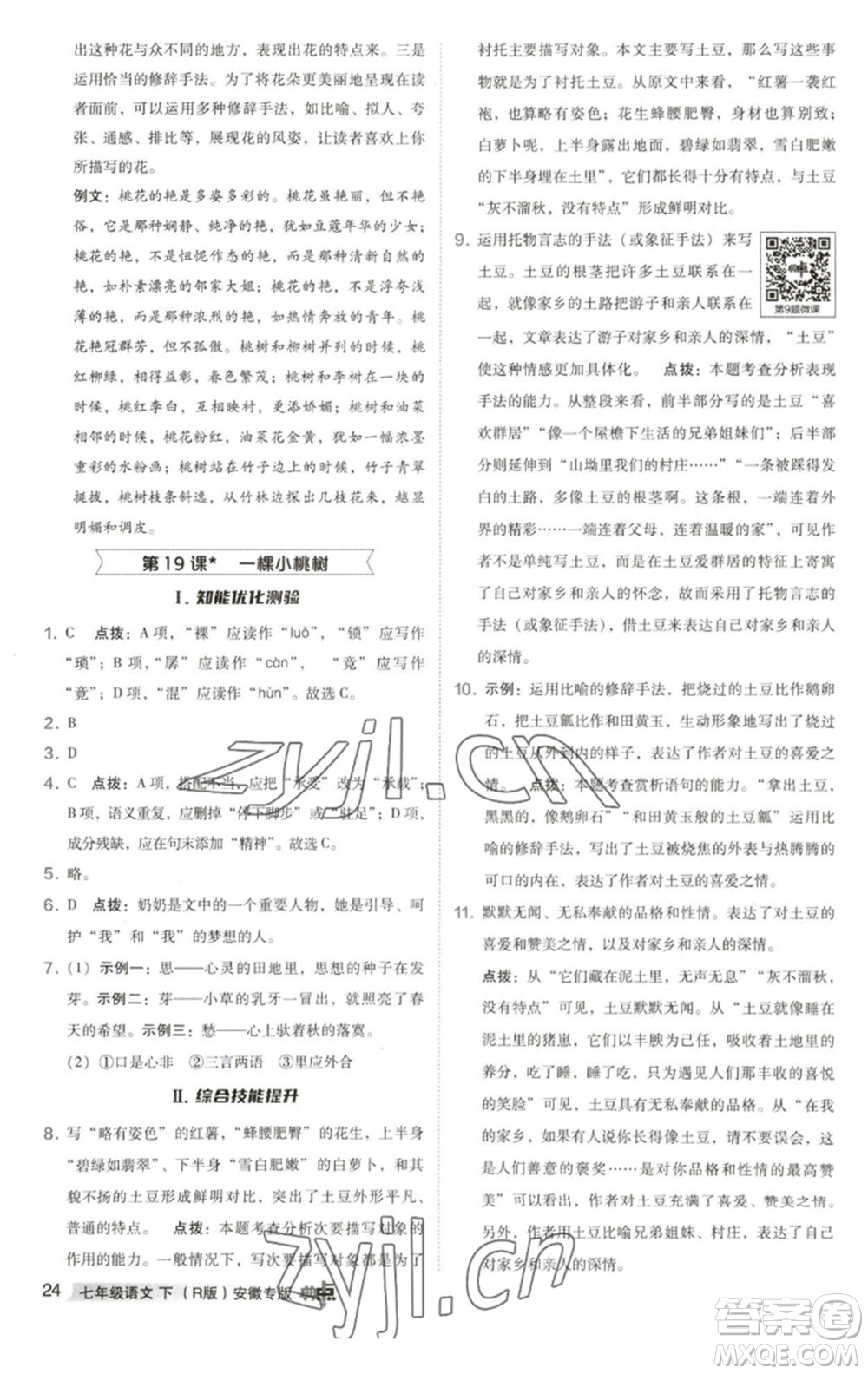 吉林教育出版社2023綜合應(yīng)用創(chuàng)新題典中點(diǎn)七年級(jí)語(yǔ)文下冊(cè)人教版安徽專版參考答案