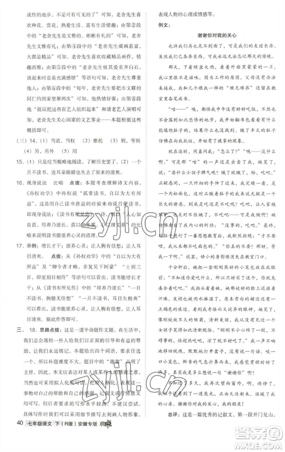 吉林教育出版社2023綜合應(yīng)用創(chuàng)新題典中點(diǎn)七年級(jí)語(yǔ)文下冊(cè)人教版安徽專版參考答案