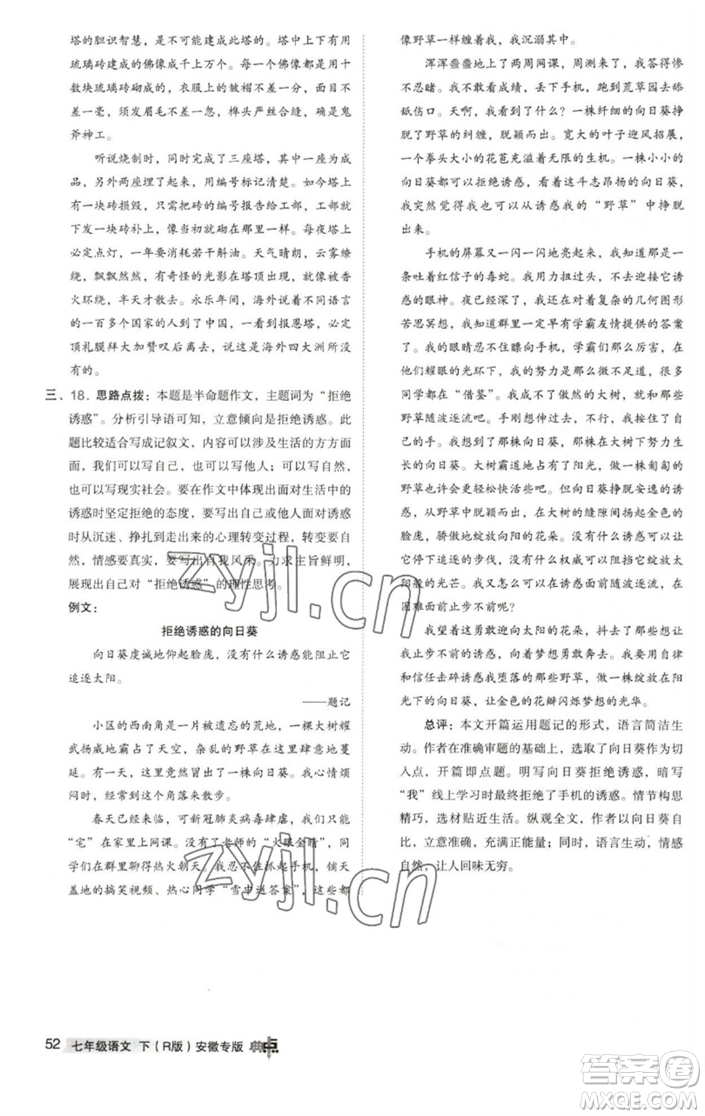 吉林教育出版社2023綜合應(yīng)用創(chuàng)新題典中點(diǎn)七年級(jí)語(yǔ)文下冊(cè)人教版安徽專版參考答案