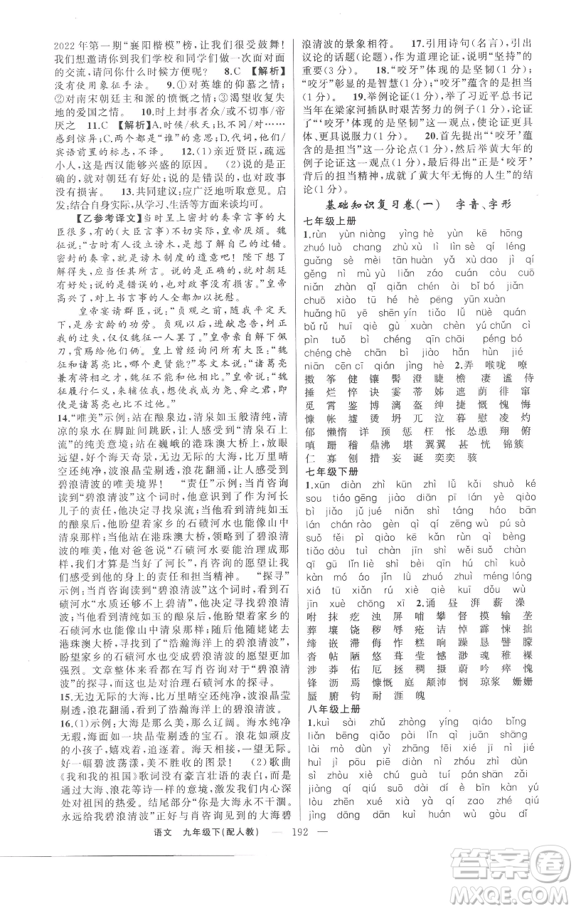 新疆青少年出版社2023四清導(dǎo)航九年級(jí)下冊語文人教版參考答案