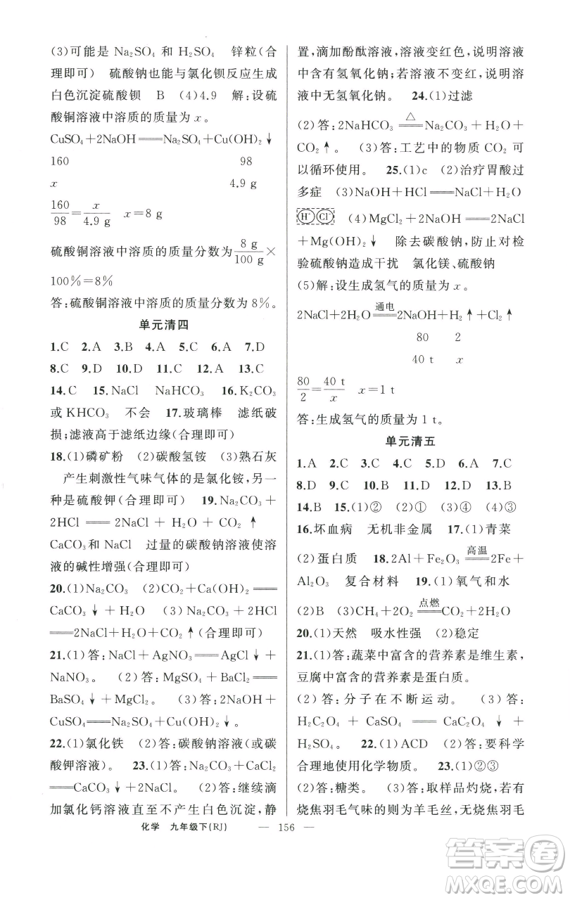 新疆青少年出版社2023四清導(dǎo)航九年級下冊化學(xué)人教版河南專版參考答案