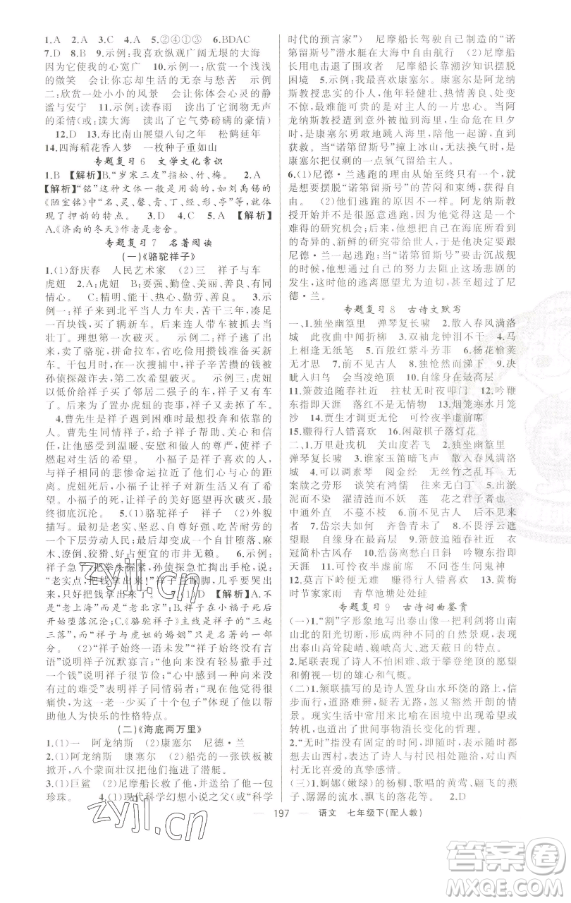 新疆青少年出版社2023四清導(dǎo)航七年級下冊語文人教版參考答案