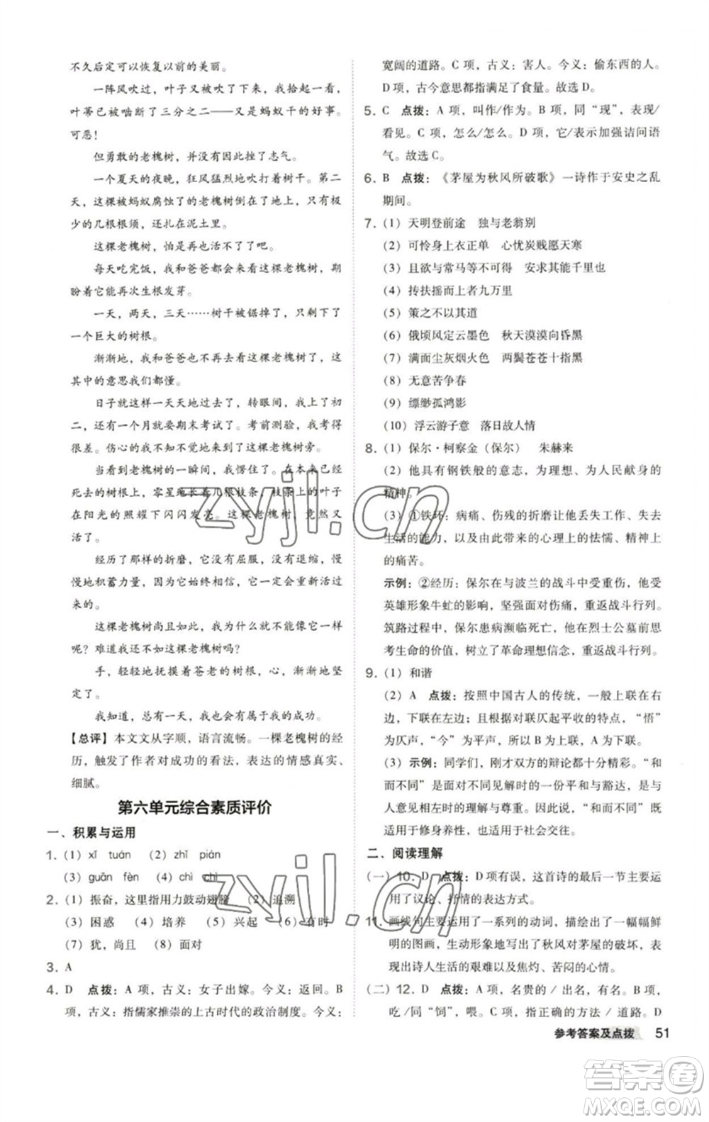 陜西人民教育出版社2023綜合應(yīng)用創(chuàng)新題典中點八年級語文下冊人教版參考答案