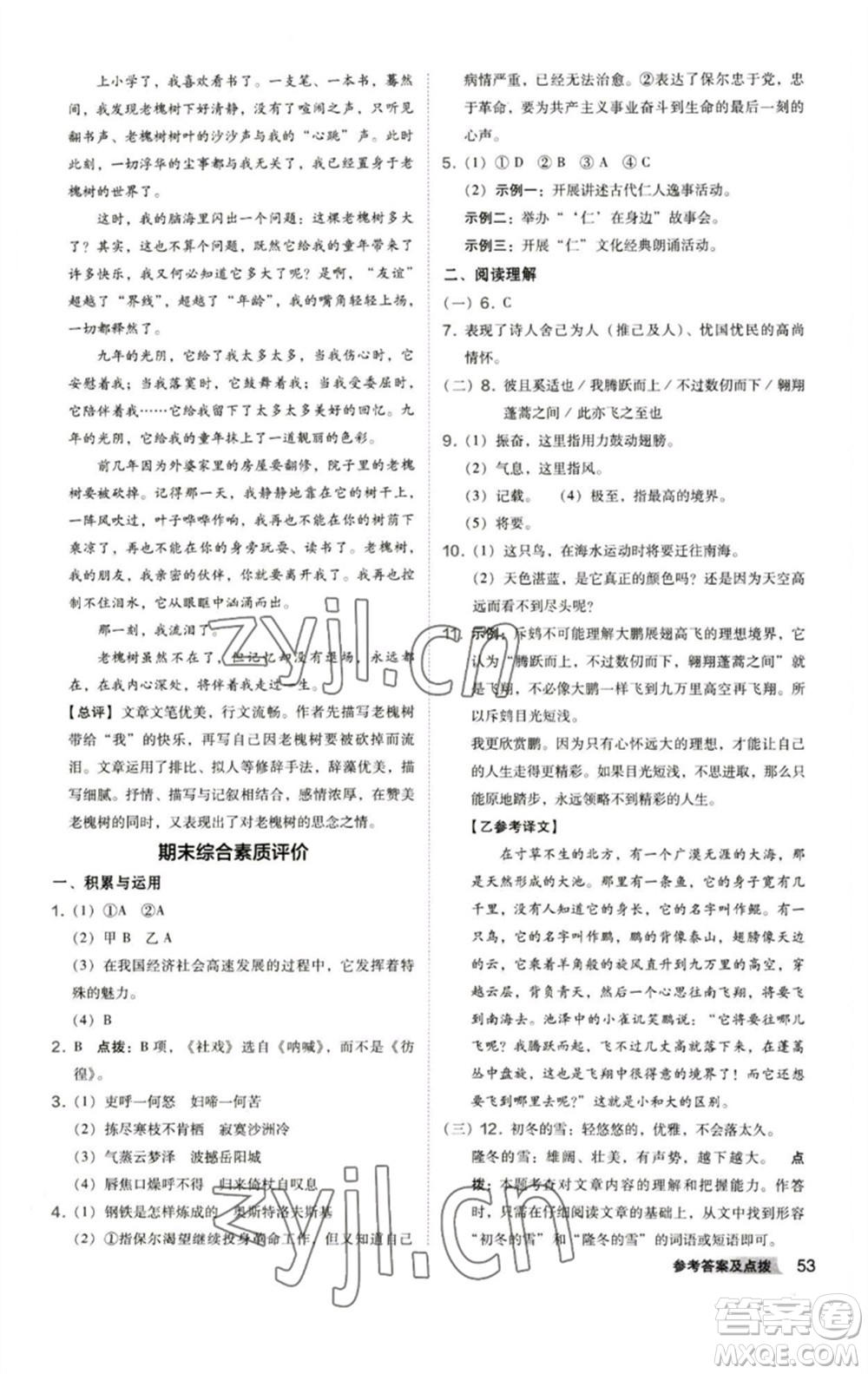 陜西人民教育出版社2023綜合應(yīng)用創(chuàng)新題典中點八年級語文下冊人教版參考答案