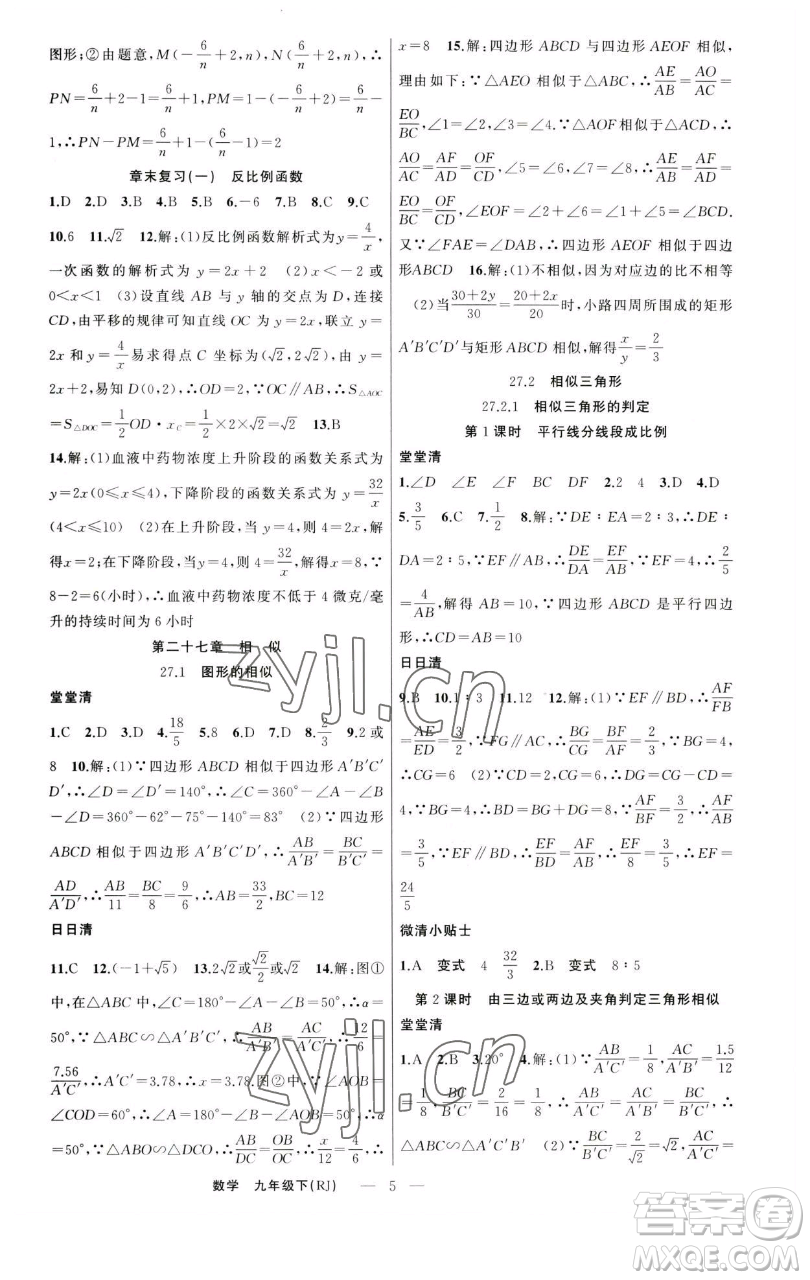 新疆青少年出版社2023四清導航九年級下冊數(shù)學人教版河南專版參考答案