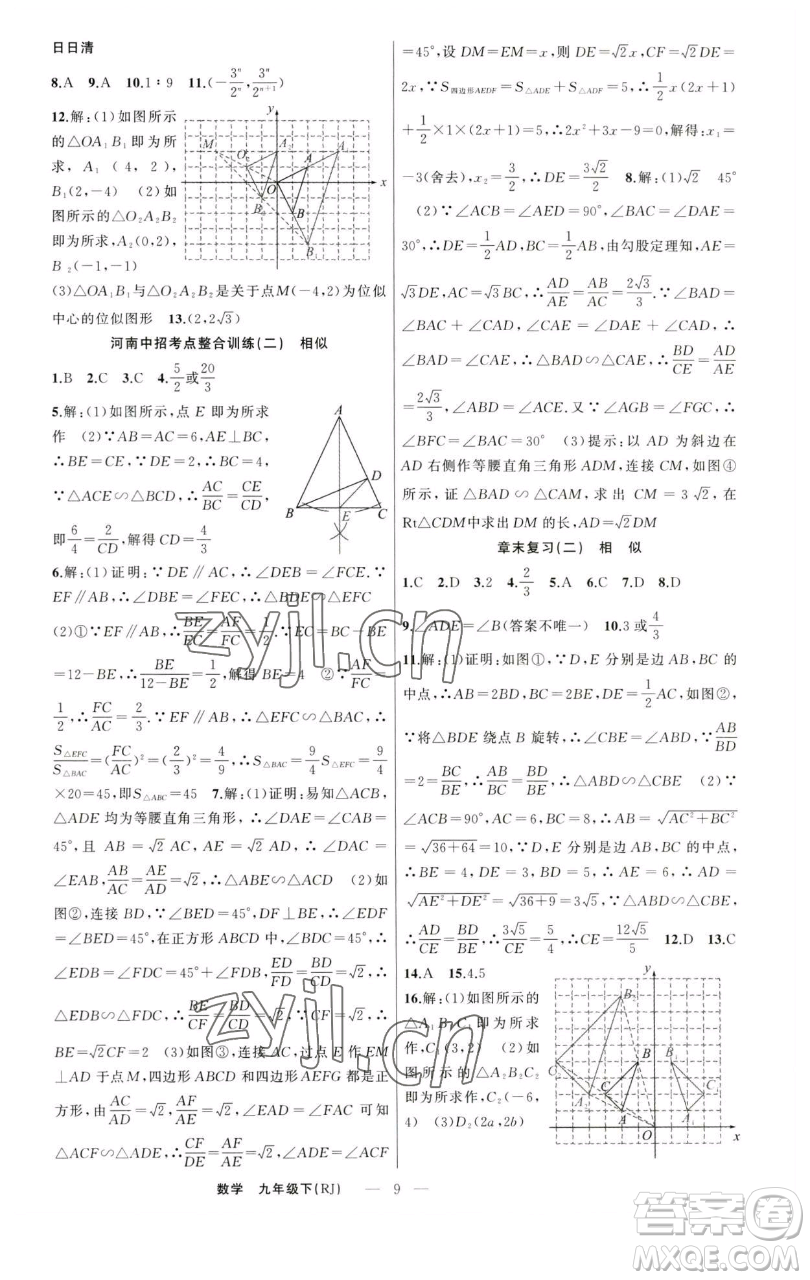 新疆青少年出版社2023四清導航九年級下冊數(shù)學人教版河南專版參考答案