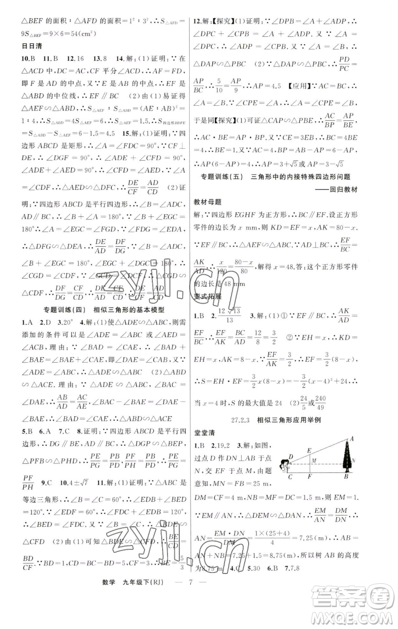 新疆青少年出版社2023四清導航九年級下冊數(shù)學人教版河南專版參考答案