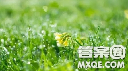 獨自前行主題作文600字 關(guān)于獨自前行的主題作文600字