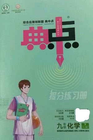 陜西人民教育出版社2023綜合應用創(chuàng)新題典中點九年級化學下冊魯教版參考答案