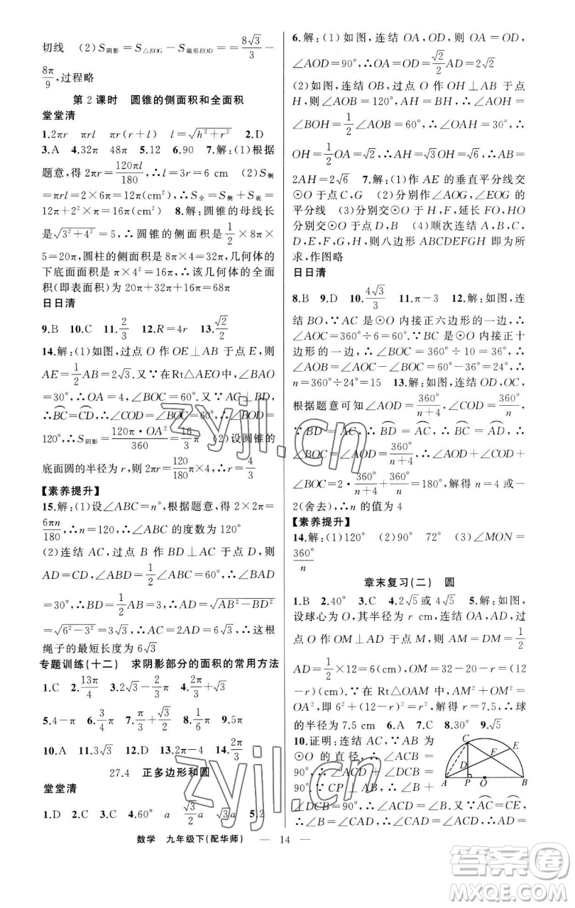 新疆青少年出版社2023四清導(dǎo)航九年級(jí)下冊(cè)數(shù)學(xué)華師大版參考答案