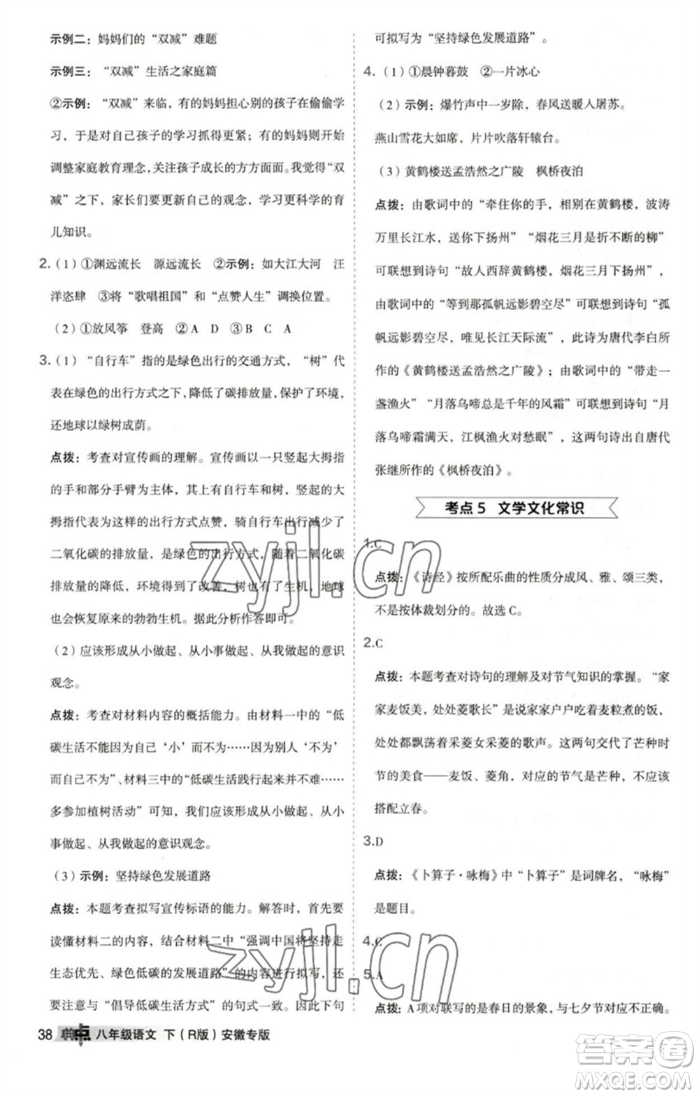 吉林教育出版社2023綜合應用創(chuàng)新題典中點八年級語文下冊人教版安徽專版參考答案