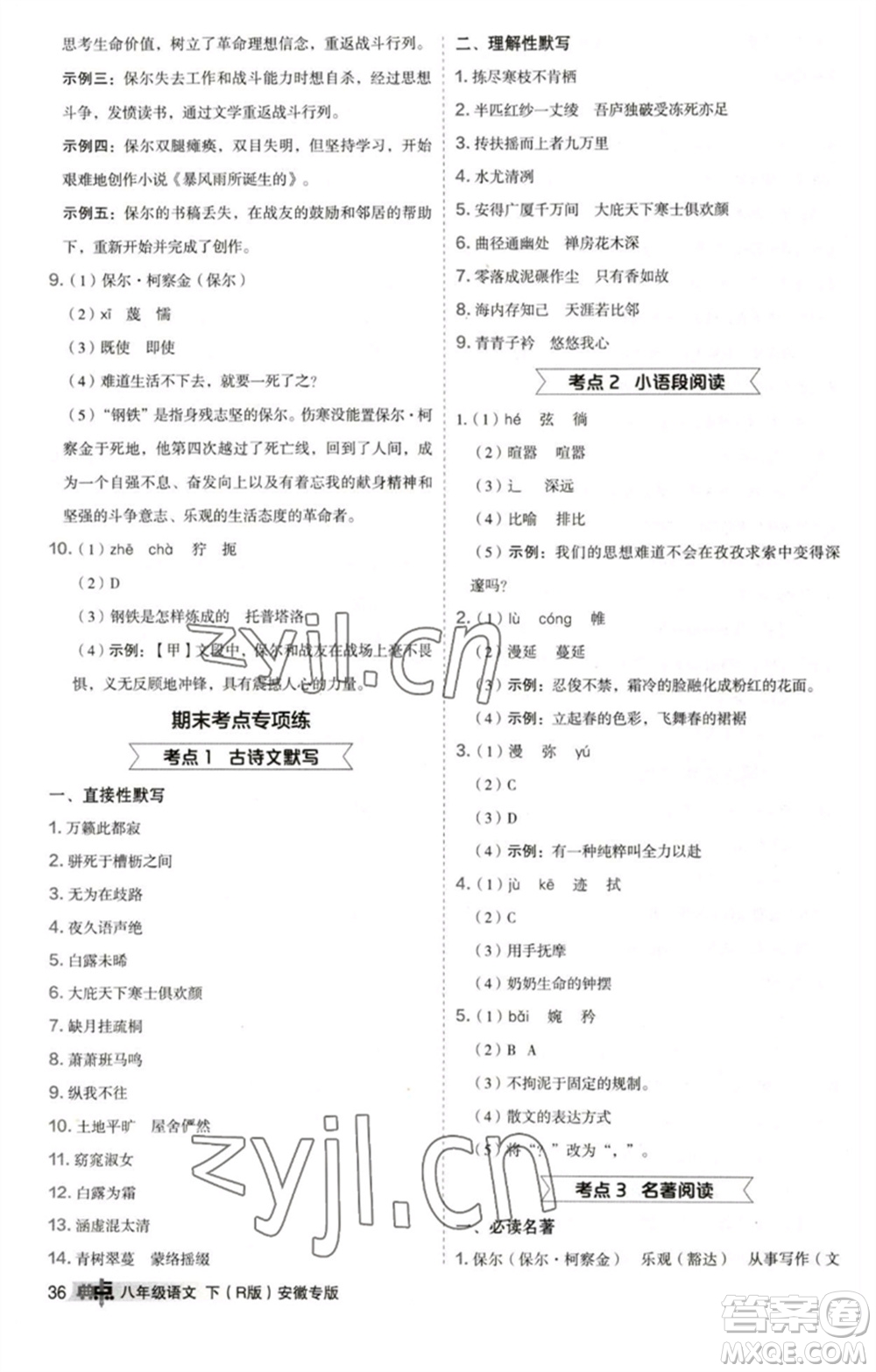 吉林教育出版社2023綜合應用創(chuàng)新題典中點八年級語文下冊人教版安徽專版參考答案