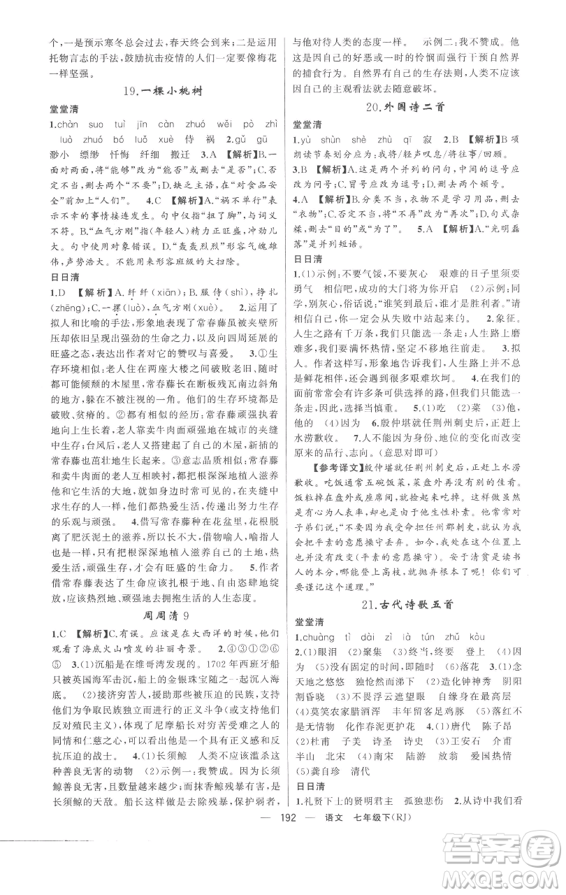 新疆青少年出版社2023四清導航七年級下冊語文人教版黃岡專版參考答案