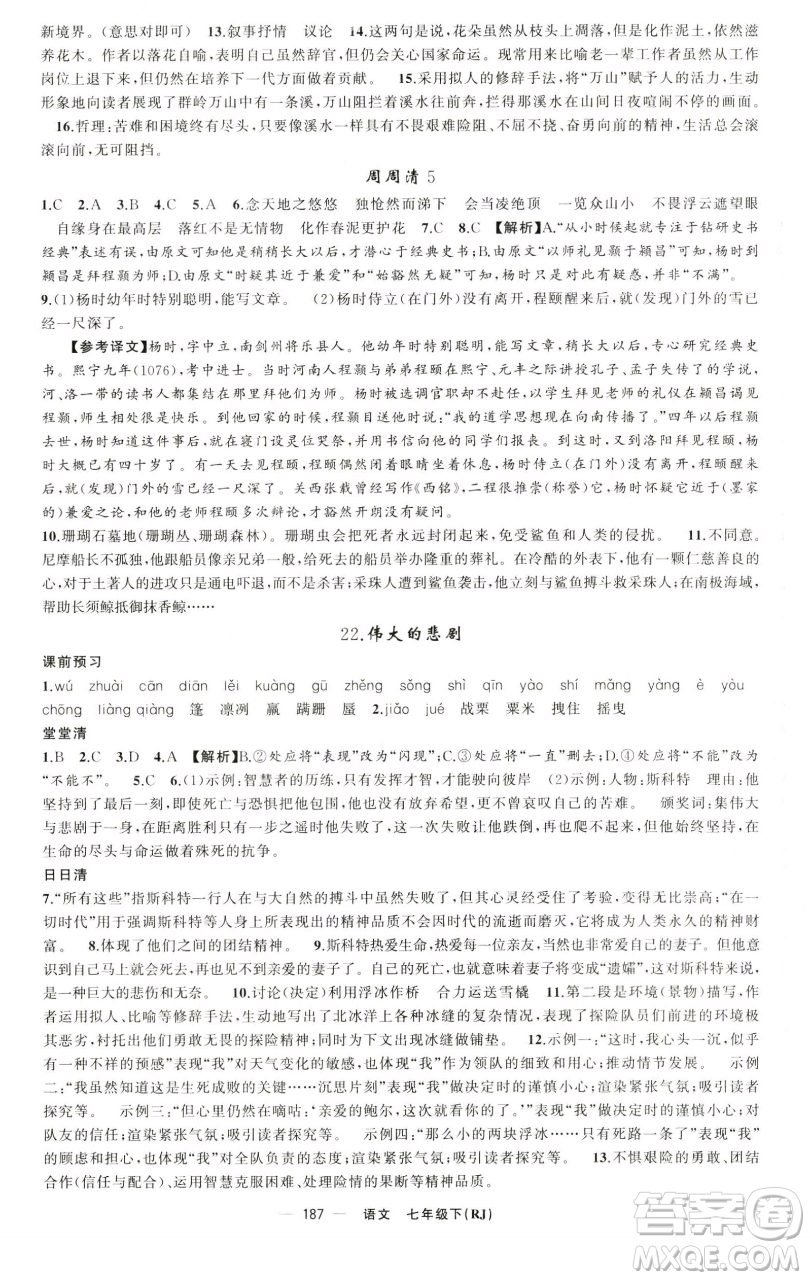 新疆青少年出版社2023四清導(dǎo)航七年級(jí)下冊(cè)語(yǔ)文人教版黃石專版參考答案