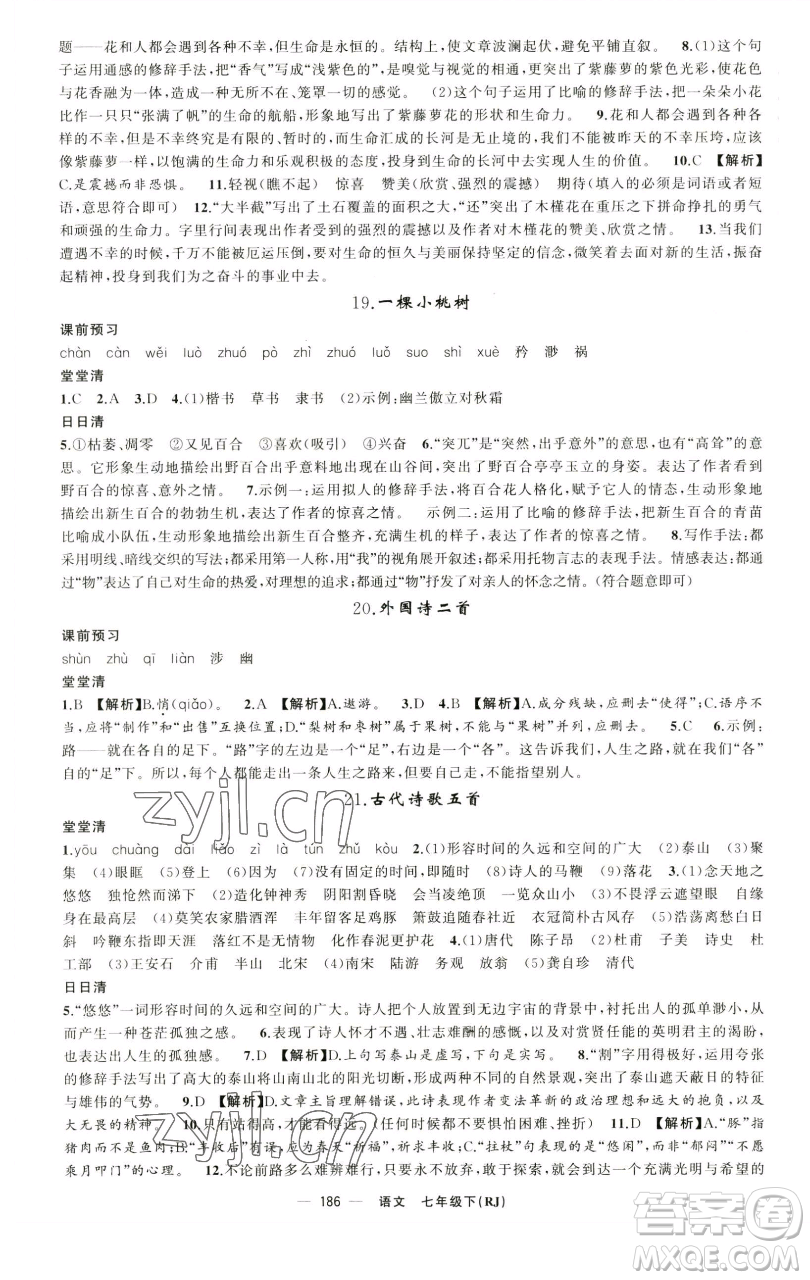 新疆青少年出版社2023四清導(dǎo)航七年級(jí)下冊(cè)語(yǔ)文人教版黃石專版參考答案