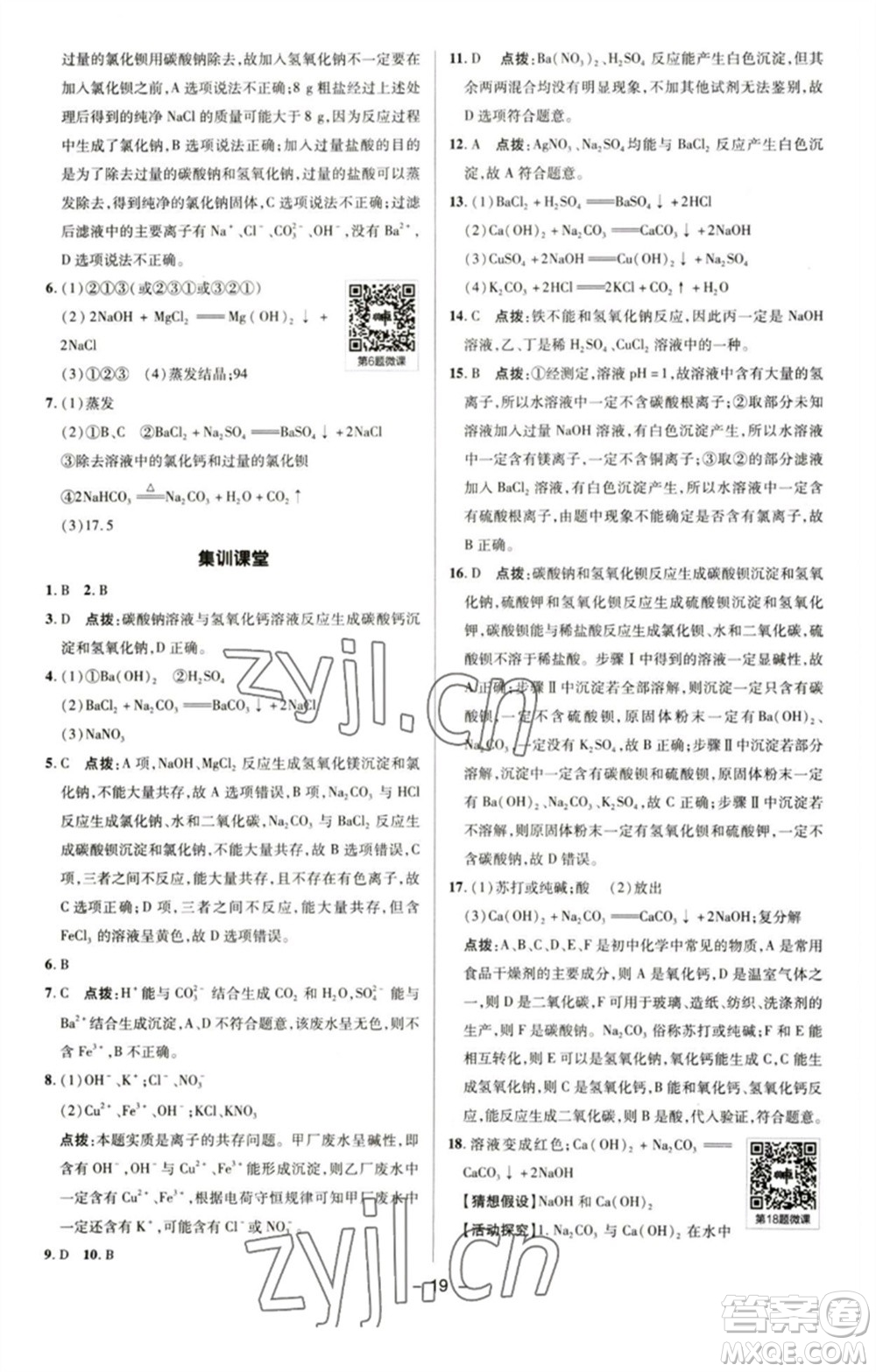 陜西人民教育出版社2023綜合應(yīng)用創(chuàng)新題典中點九年級化學下冊人教版參考答案