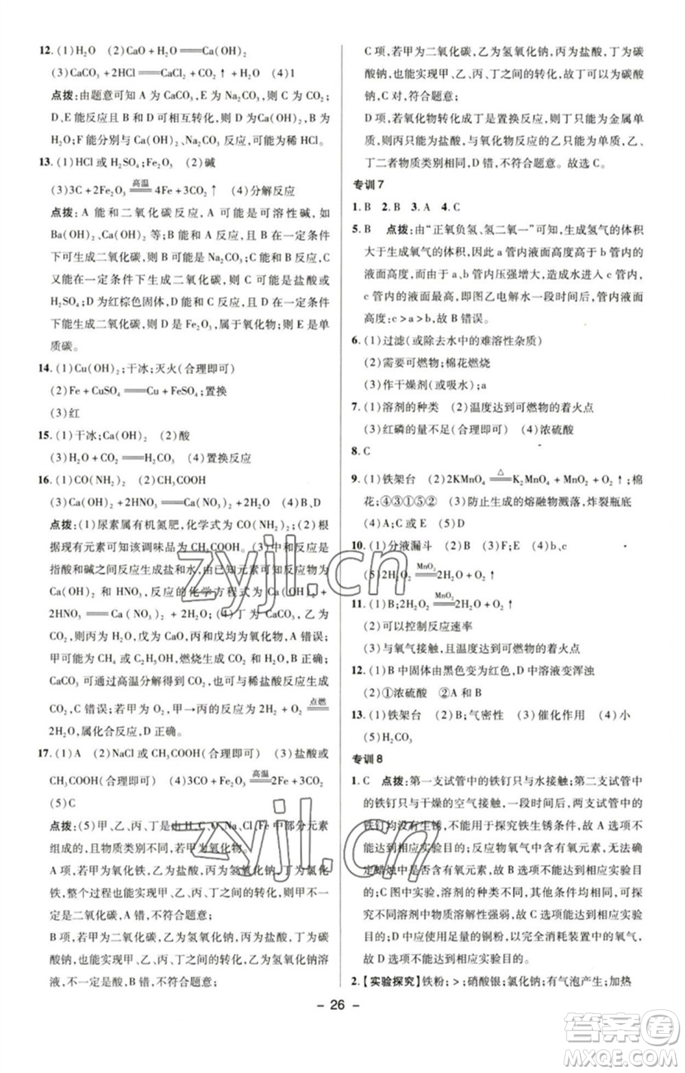 陜西人民教育出版社2023綜合應(yīng)用創(chuàng)新題典中點九年級化學下冊人教版參考答案