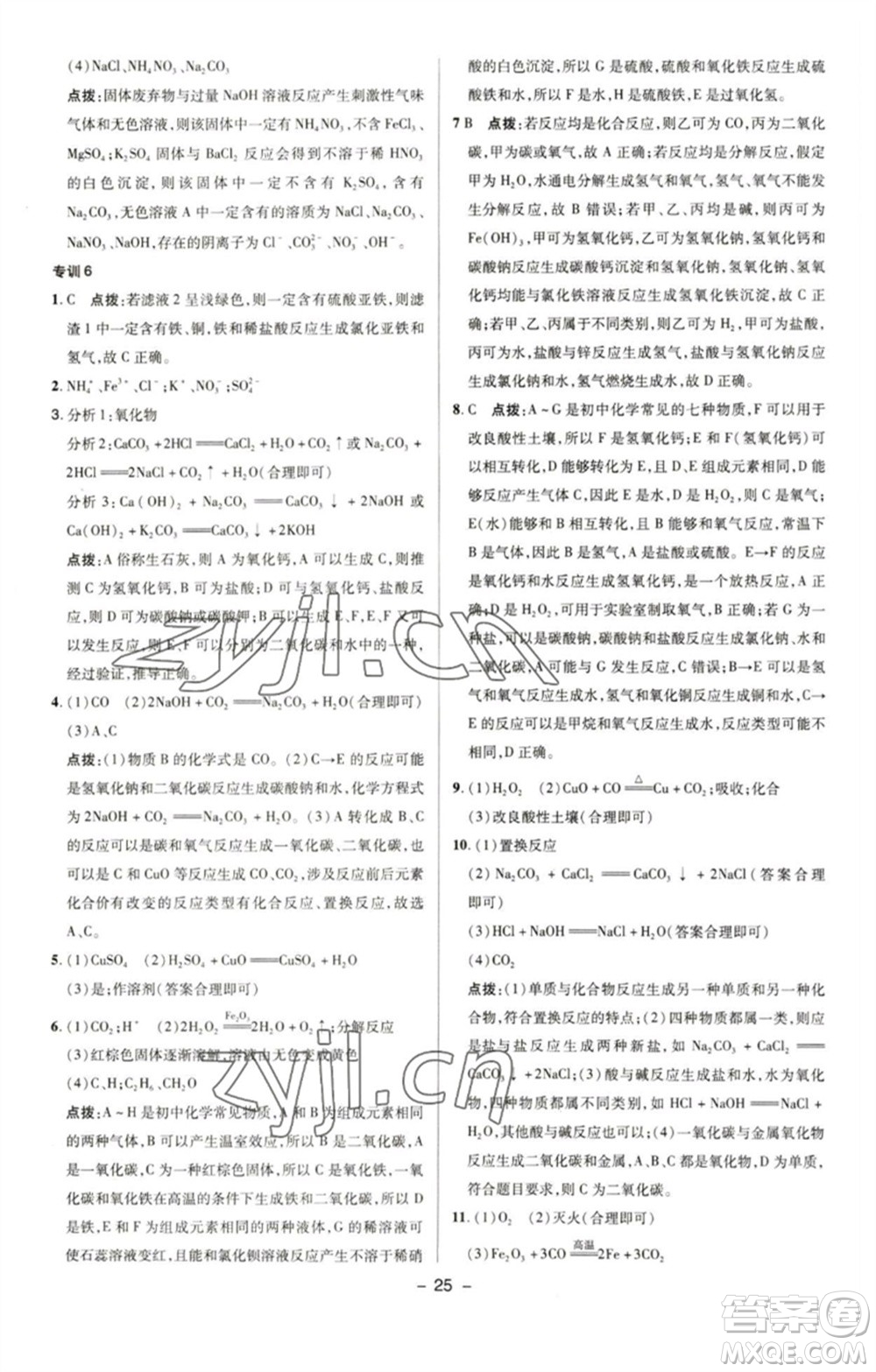陜西人民教育出版社2023綜合應(yīng)用創(chuàng)新題典中點九年級化學下冊人教版參考答案