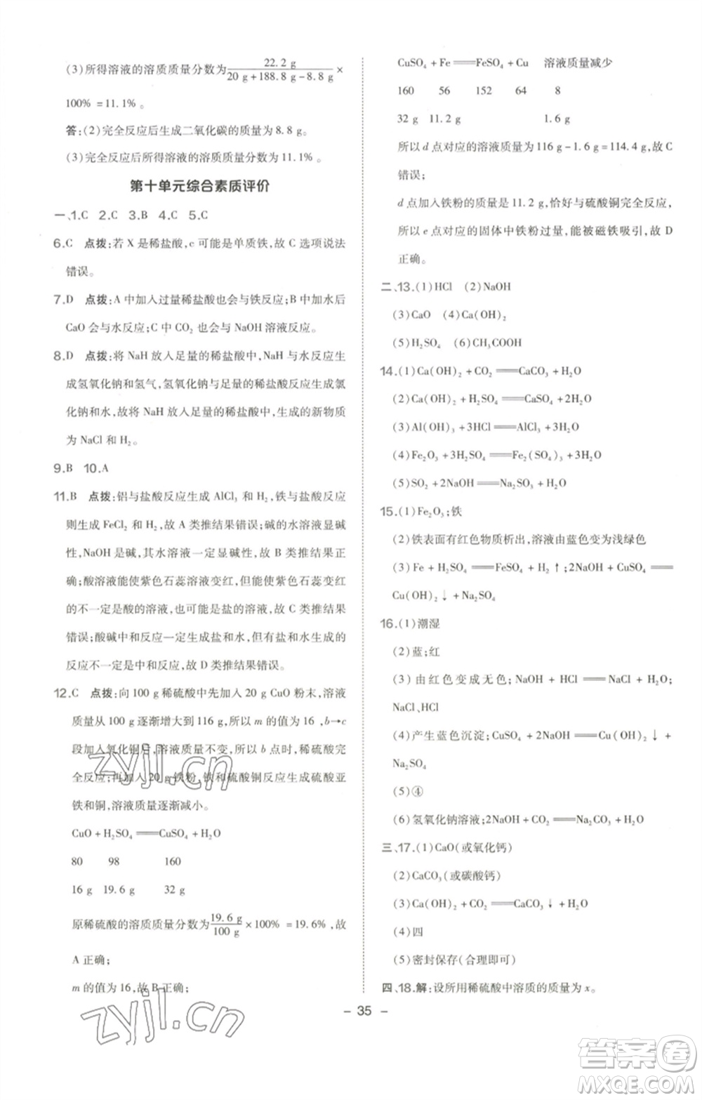 陜西人民教育出版社2023綜合應(yīng)用創(chuàng)新題典中點九年級化學下冊人教版參考答案