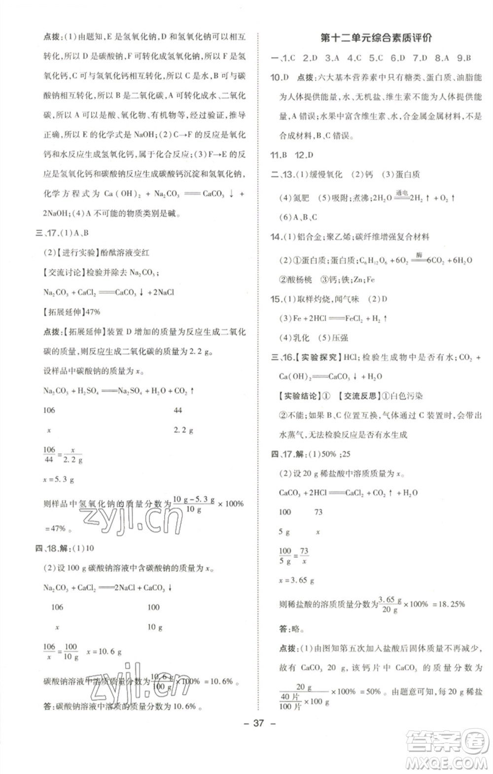 陜西人民教育出版社2023綜合應(yīng)用創(chuàng)新題典中點九年級化學下冊人教版參考答案