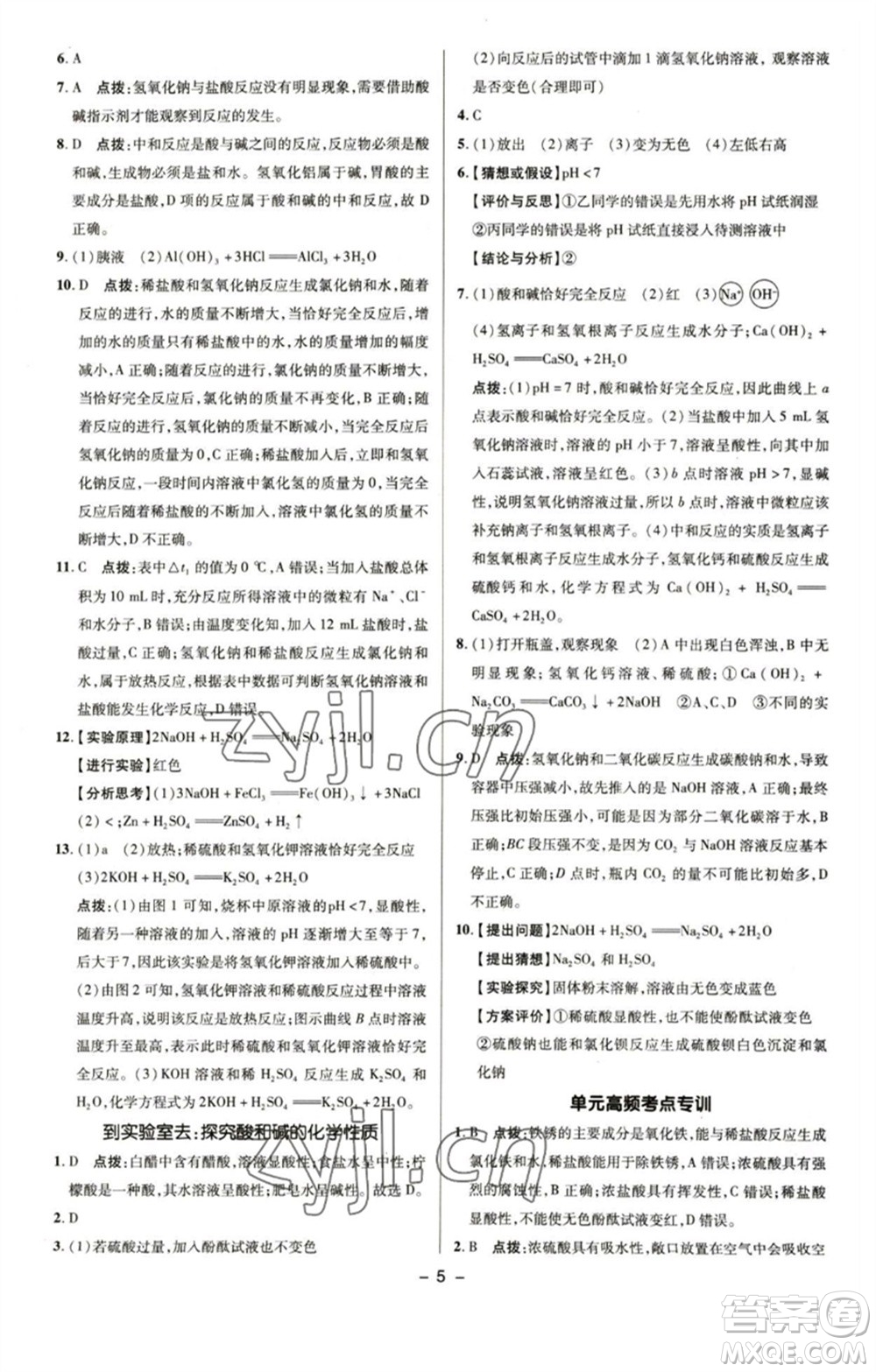 陜西人民教育出版社2023綜合應用創(chuàng)新題典中點九年級化學下冊魯教版參考答案