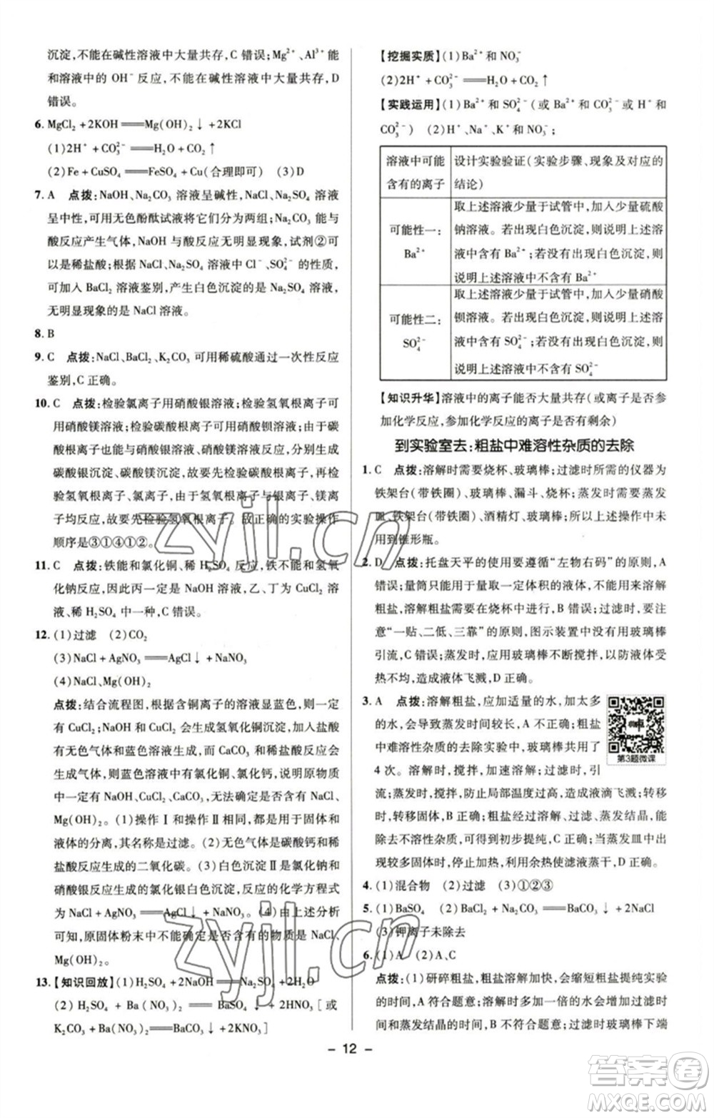 陜西人民教育出版社2023綜合應用創(chuàng)新題典中點九年級化學下冊魯教版參考答案