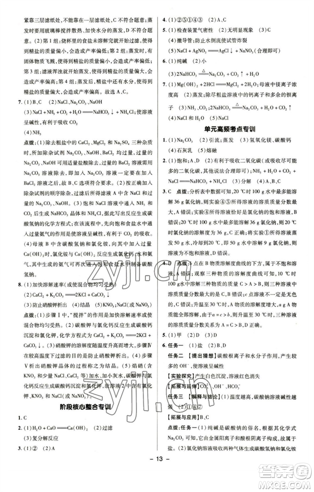 陜西人民教育出版社2023綜合應用創(chuàng)新題典中點九年級化學下冊魯教版參考答案