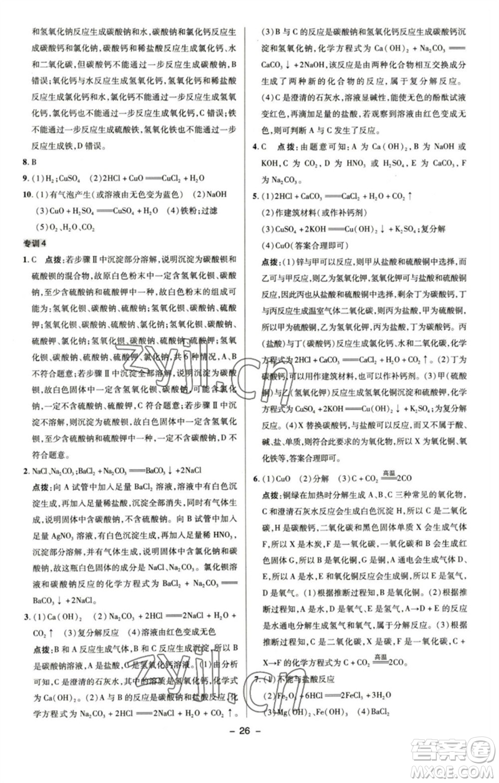 陜西人民教育出版社2023綜合應用創(chuàng)新題典中點九年級化學下冊魯教版參考答案