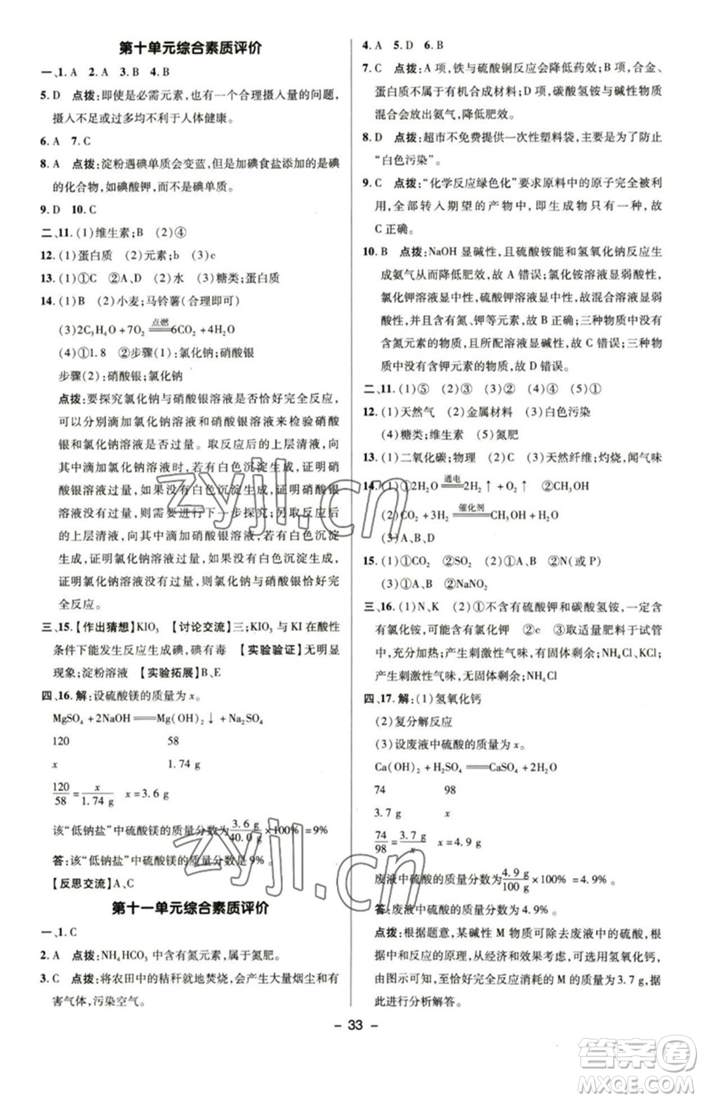 陜西人民教育出版社2023綜合應用創(chuàng)新題典中點九年級化學下冊魯教版參考答案