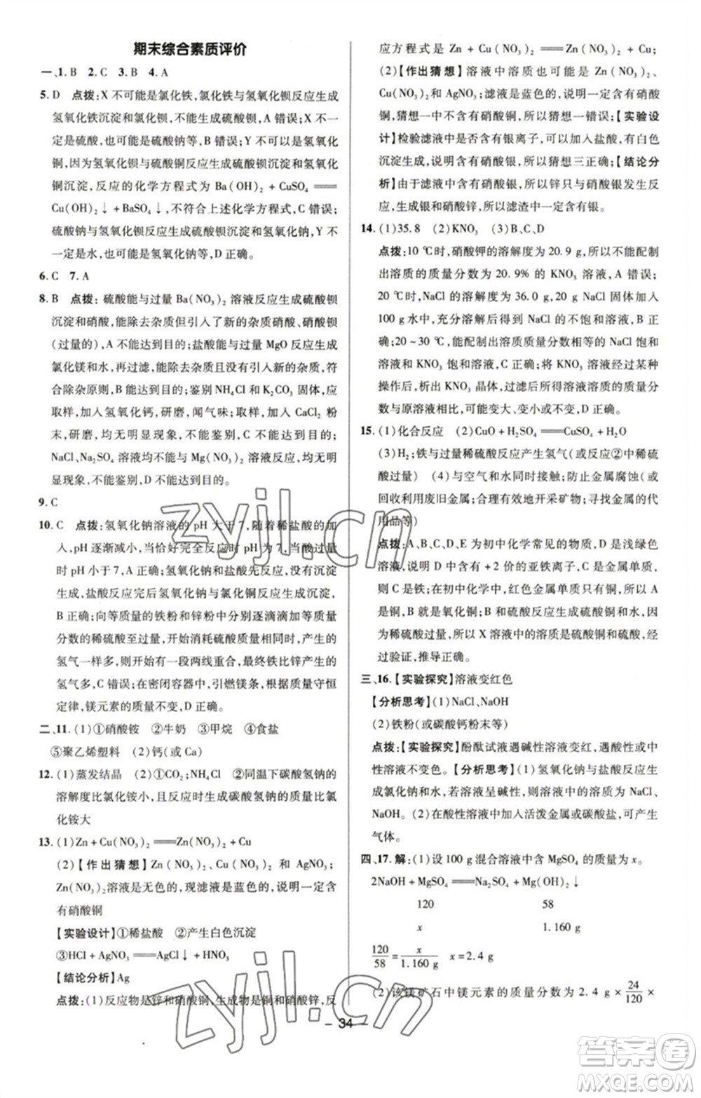 陜西人民教育出版社2023綜合應用創(chuàng)新題典中點九年級化學下冊魯教版參考答案