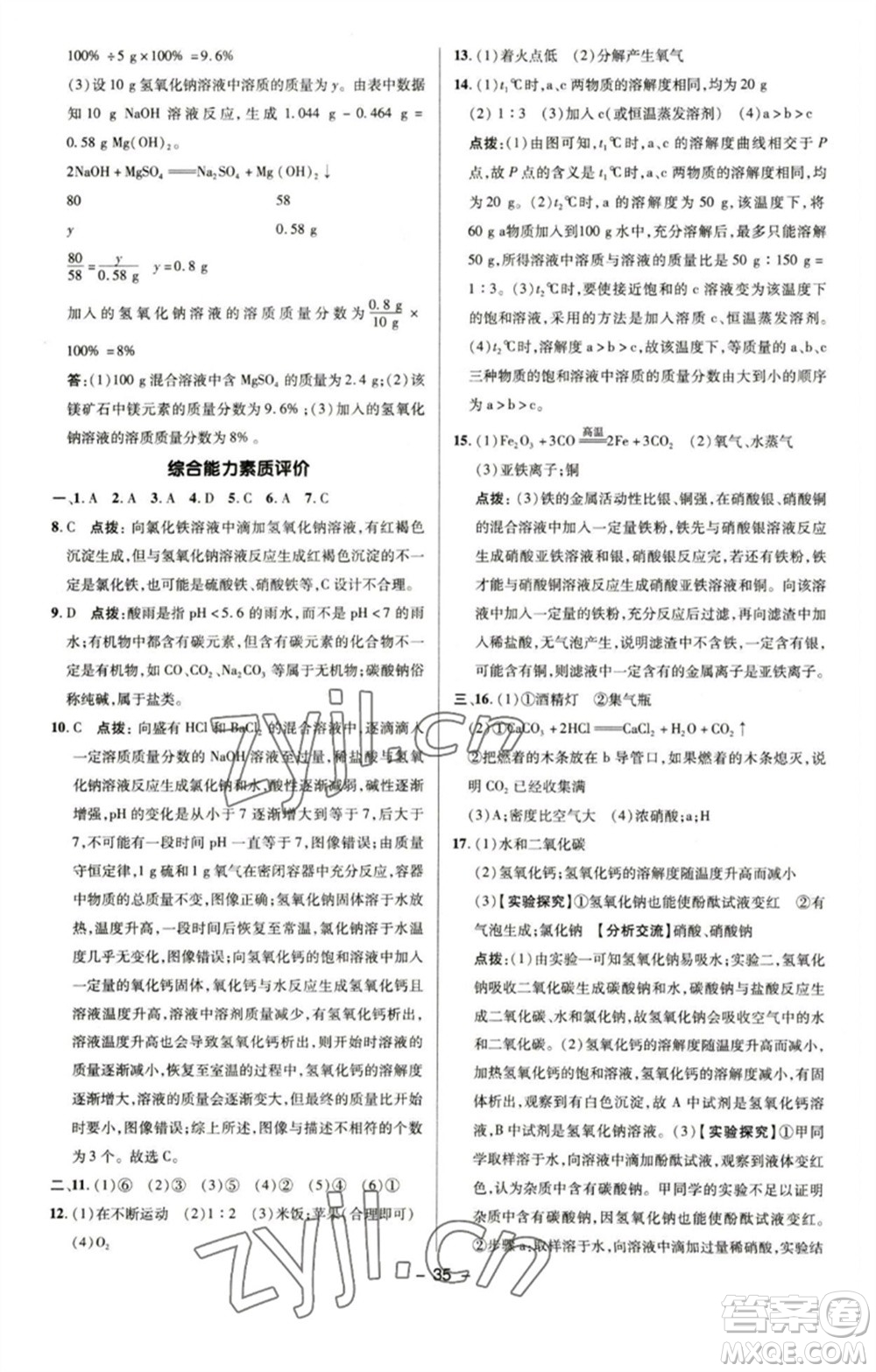 陜西人民教育出版社2023綜合應用創(chuàng)新題典中點九年級化學下冊魯教版參考答案