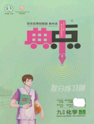 陜西人民教育出版社2023綜合應(yīng)用創(chuàng)新題典中點九年級化學下冊人教版參考答案