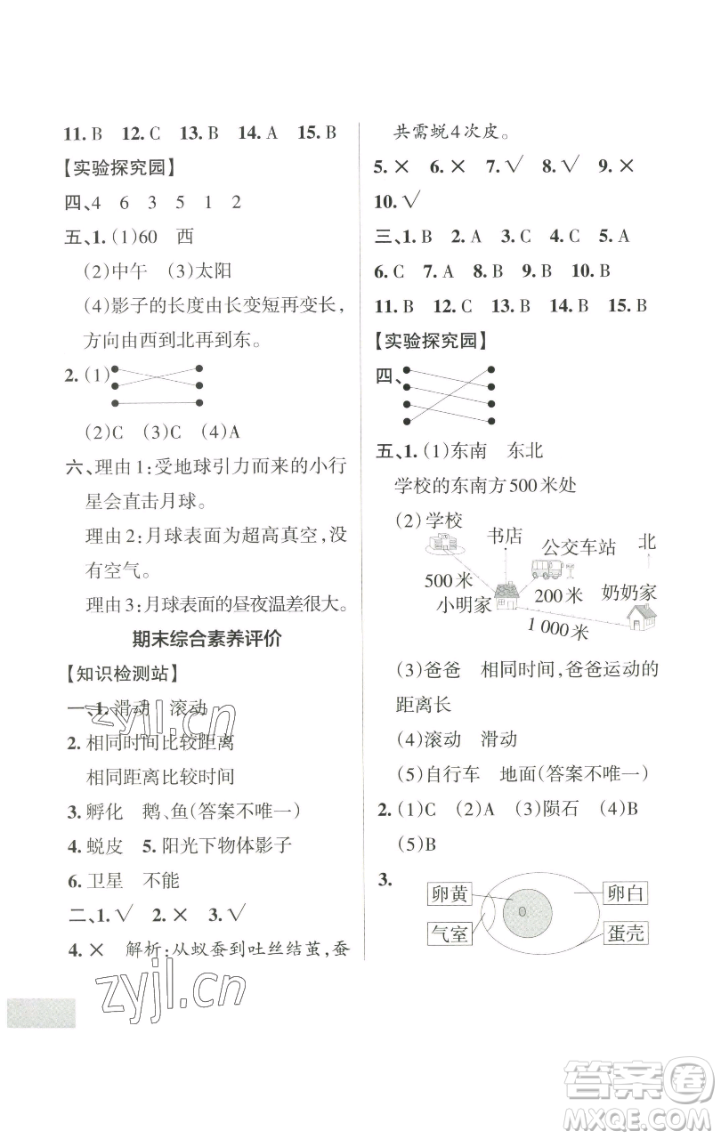 遼寧教育出版社2023小學學霸作業(yè)本三年級下冊科學教科版參考答案