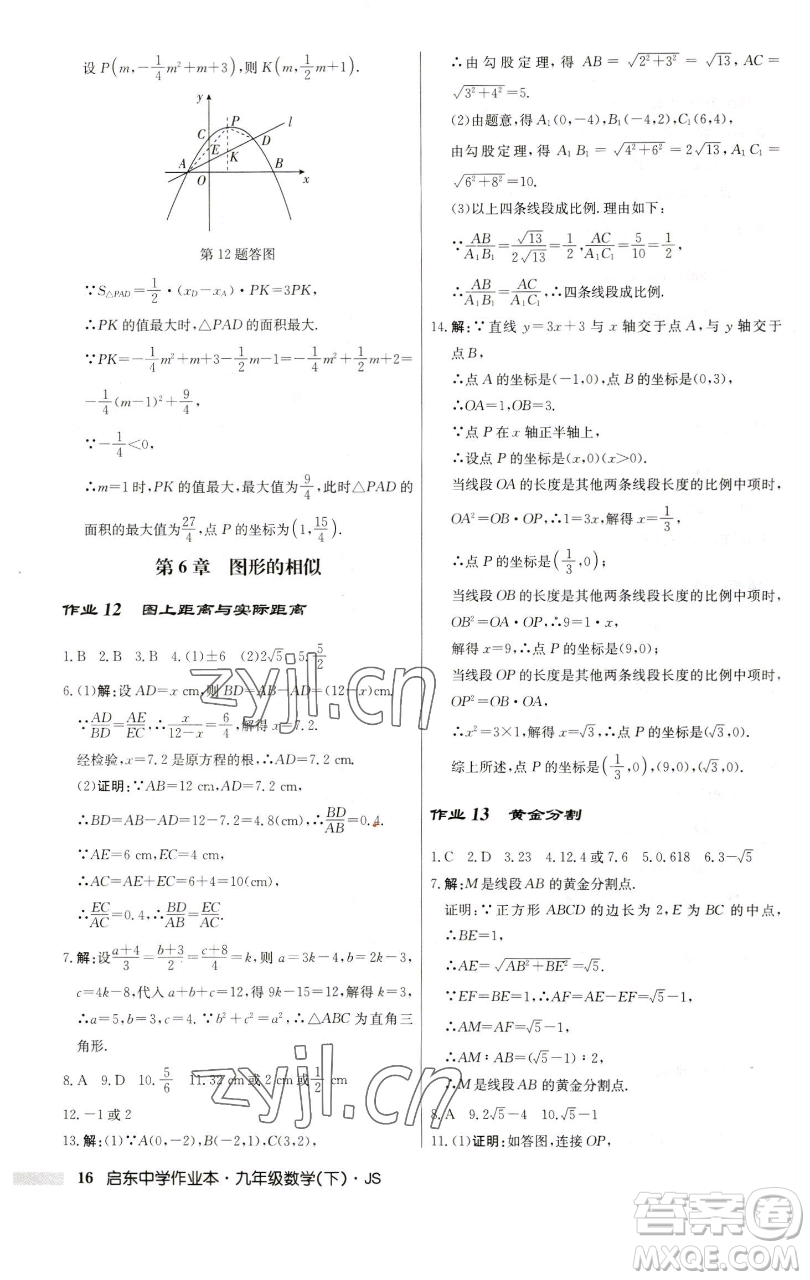 龍門書局2023啟東中學作業(yè)本九年級下冊數學江蘇版參考答案