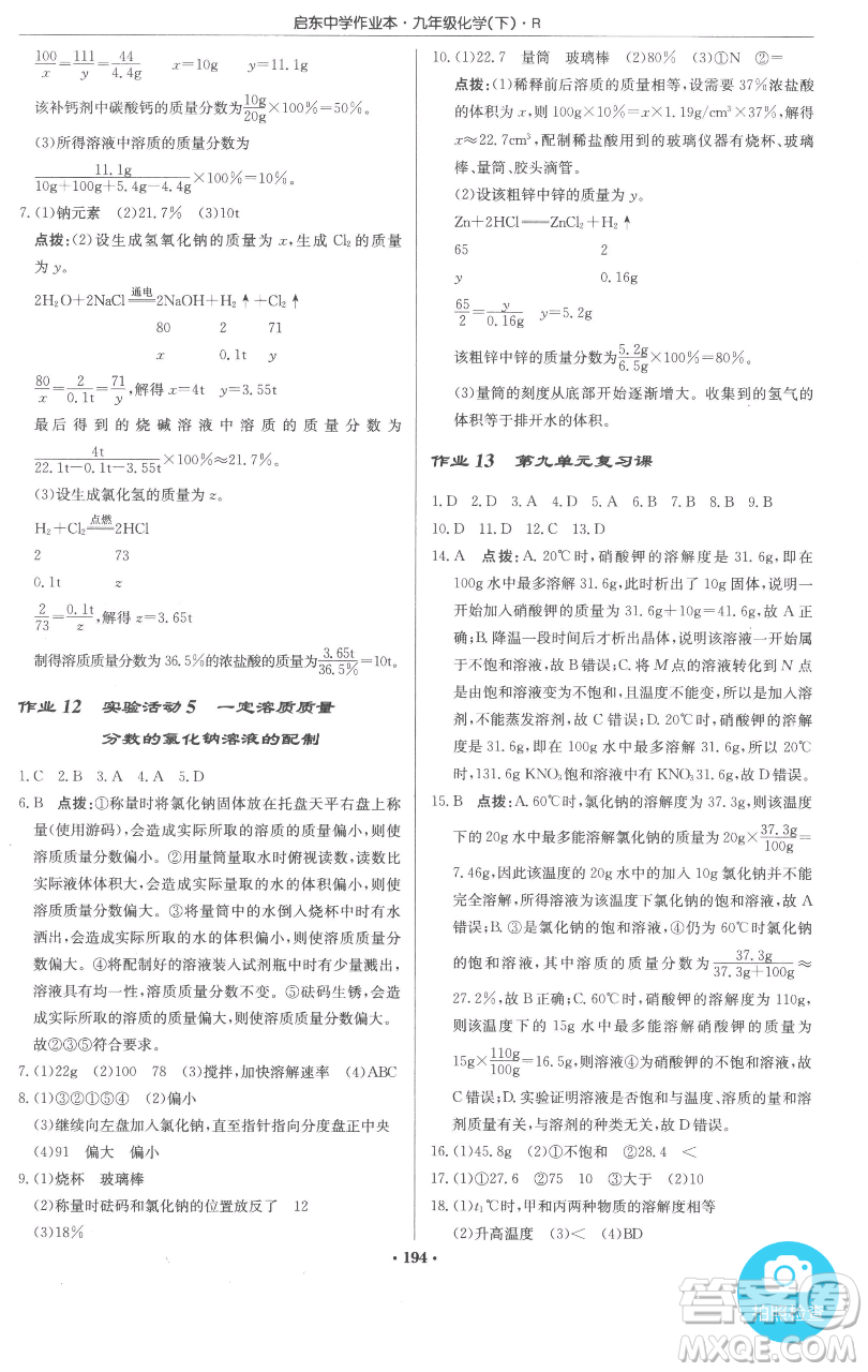龍門書局2023啟東中學(xué)作業(yè)本九年級(jí)下冊(cè)化學(xué)人教版參考答案