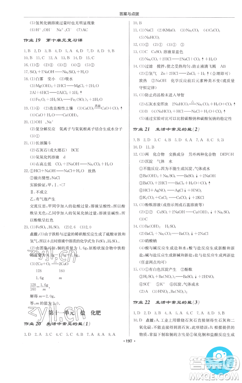 龍門書局2023啟東中學(xué)作業(yè)本九年級(jí)下冊(cè)化學(xué)人教版參考答案