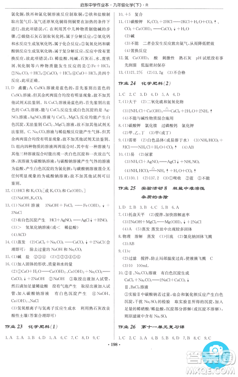龍門書局2023啟東中學(xué)作業(yè)本九年級(jí)下冊(cè)化學(xué)人教版參考答案