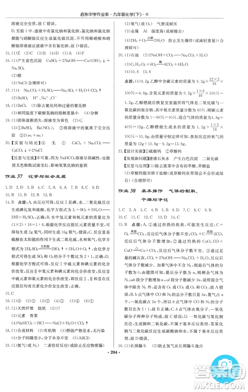 龍門書局2023啟東中學(xué)作業(yè)本九年級(jí)下冊(cè)化學(xué)人教版參考答案