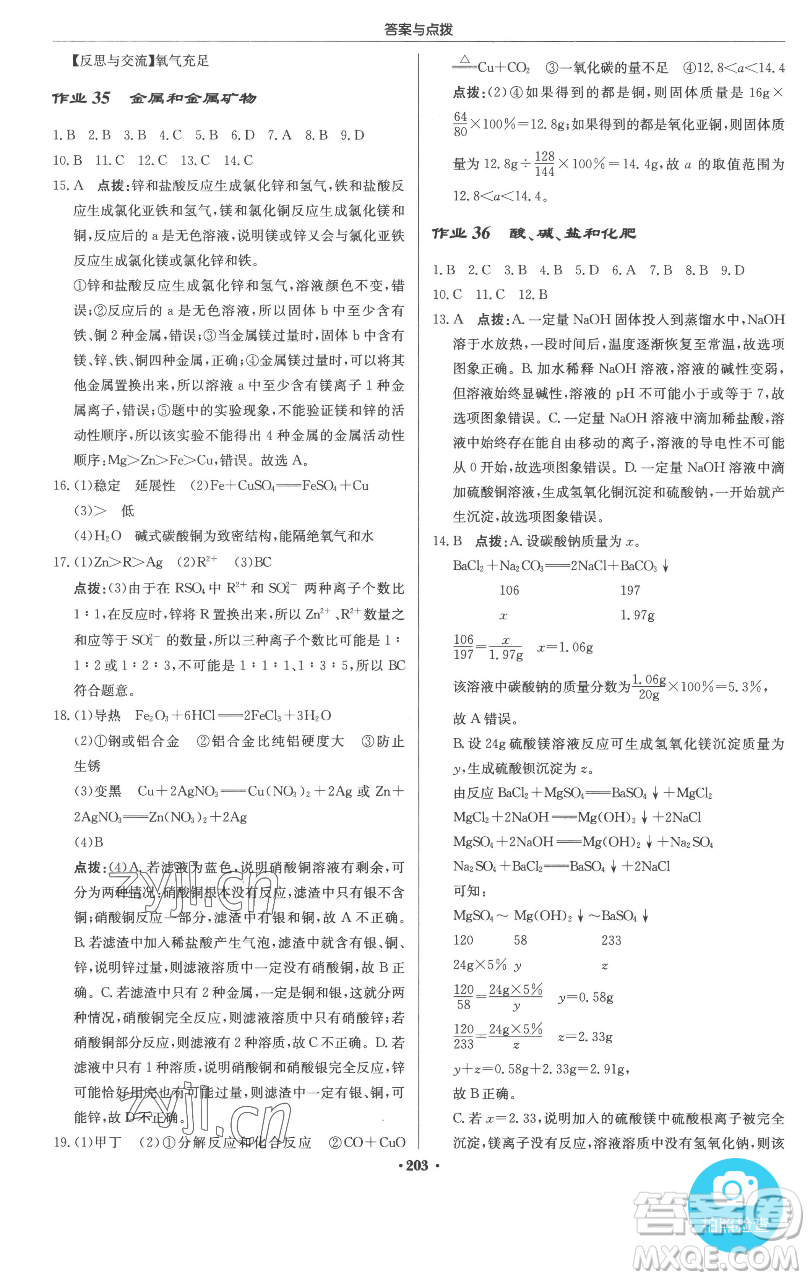 龍門書局2023啟東中學(xué)作業(yè)本九年級(jí)下冊(cè)化學(xué)人教版參考答案